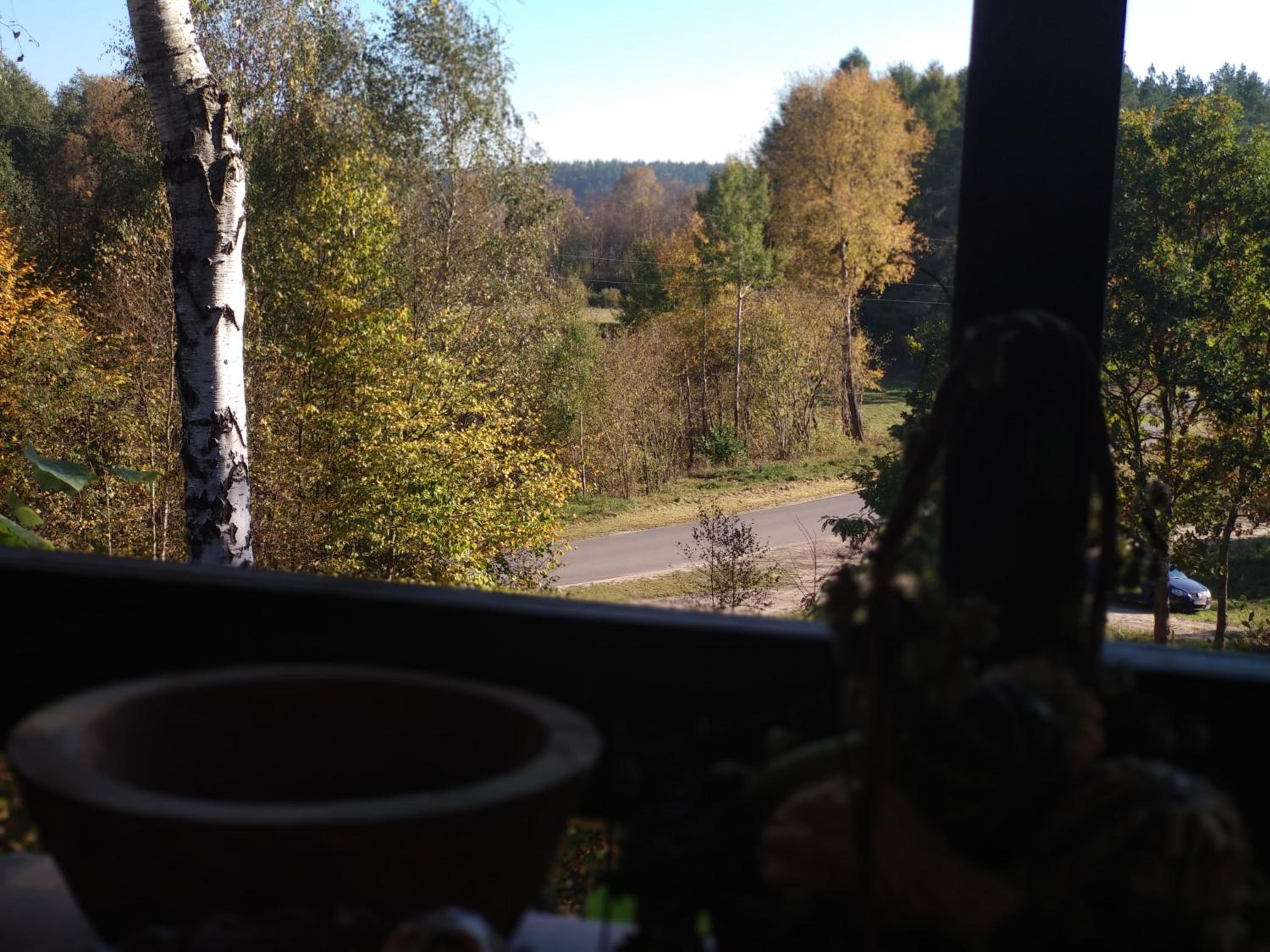 Birchy Hills view 3