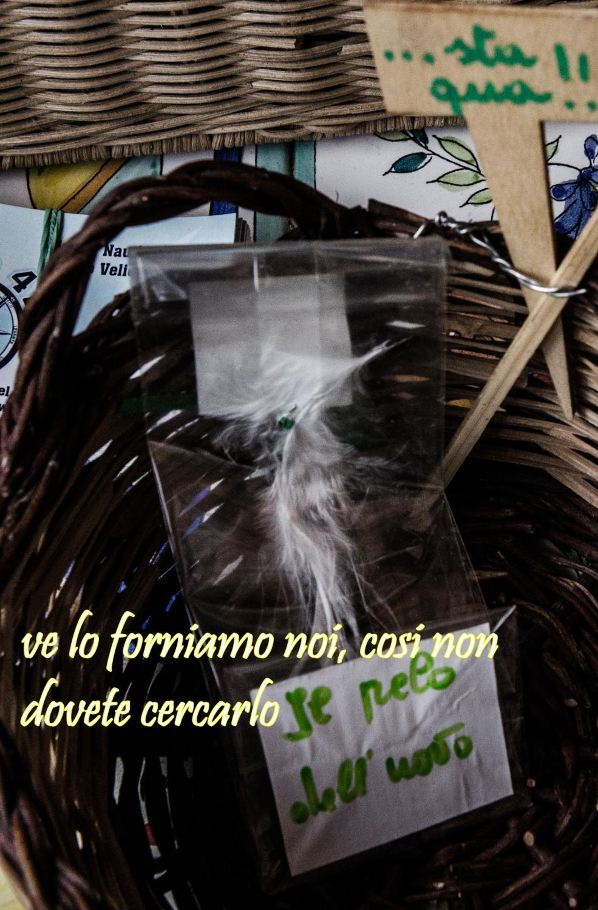 Photo 54