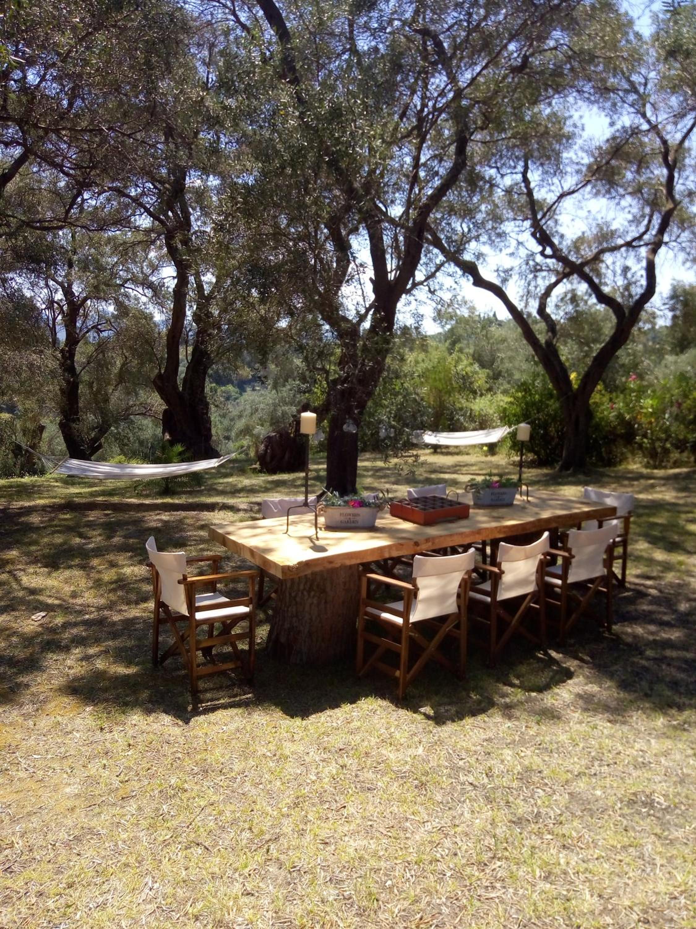 Astrakeri Gardens photo 4