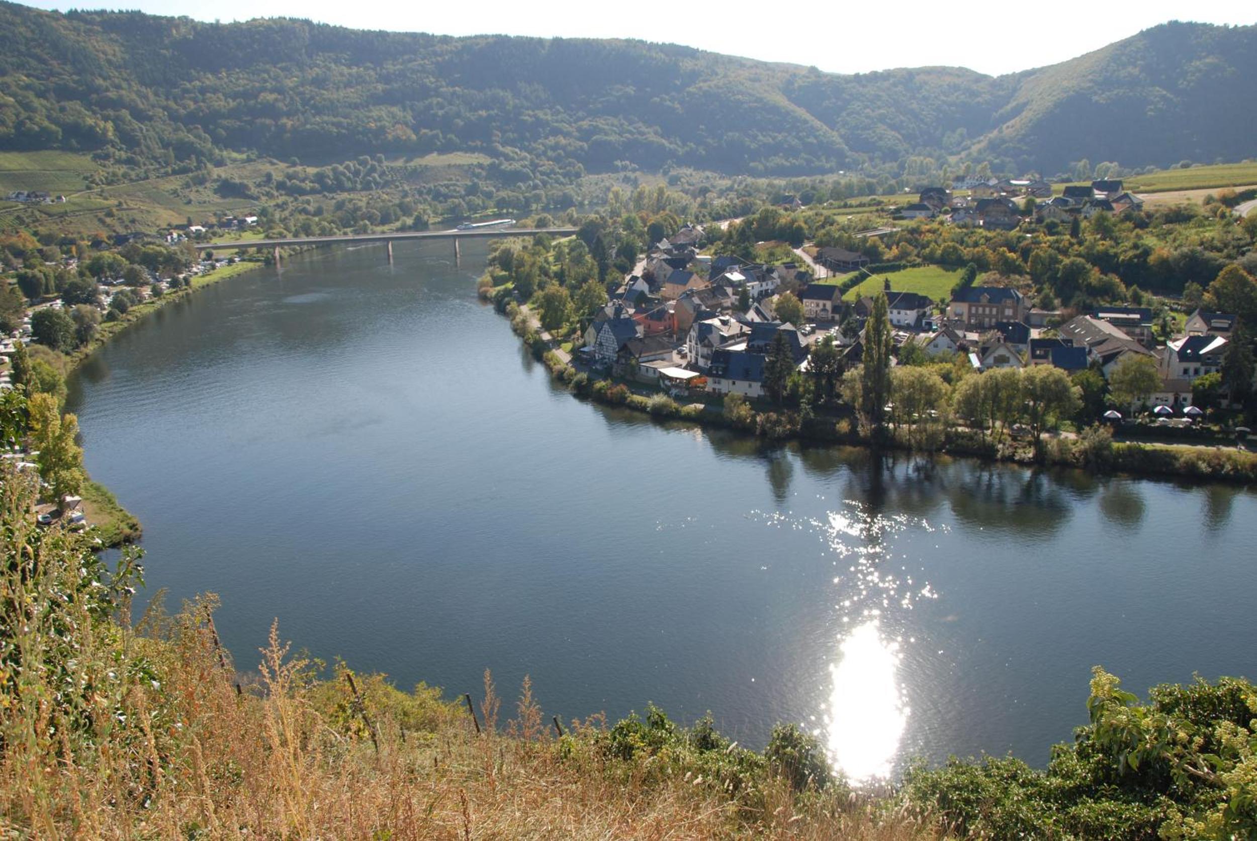 Photo 41