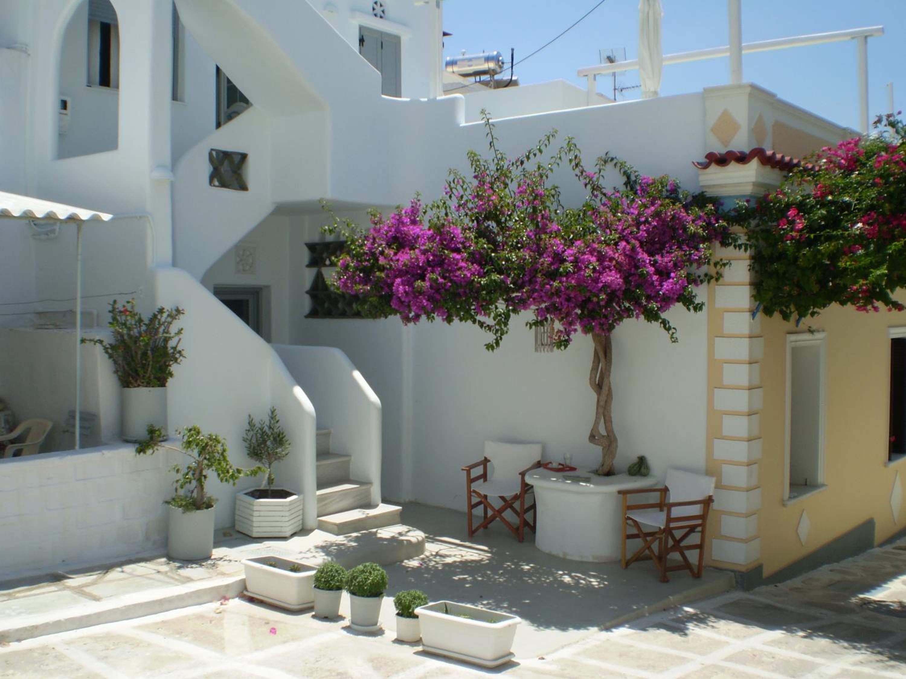 Photo 43