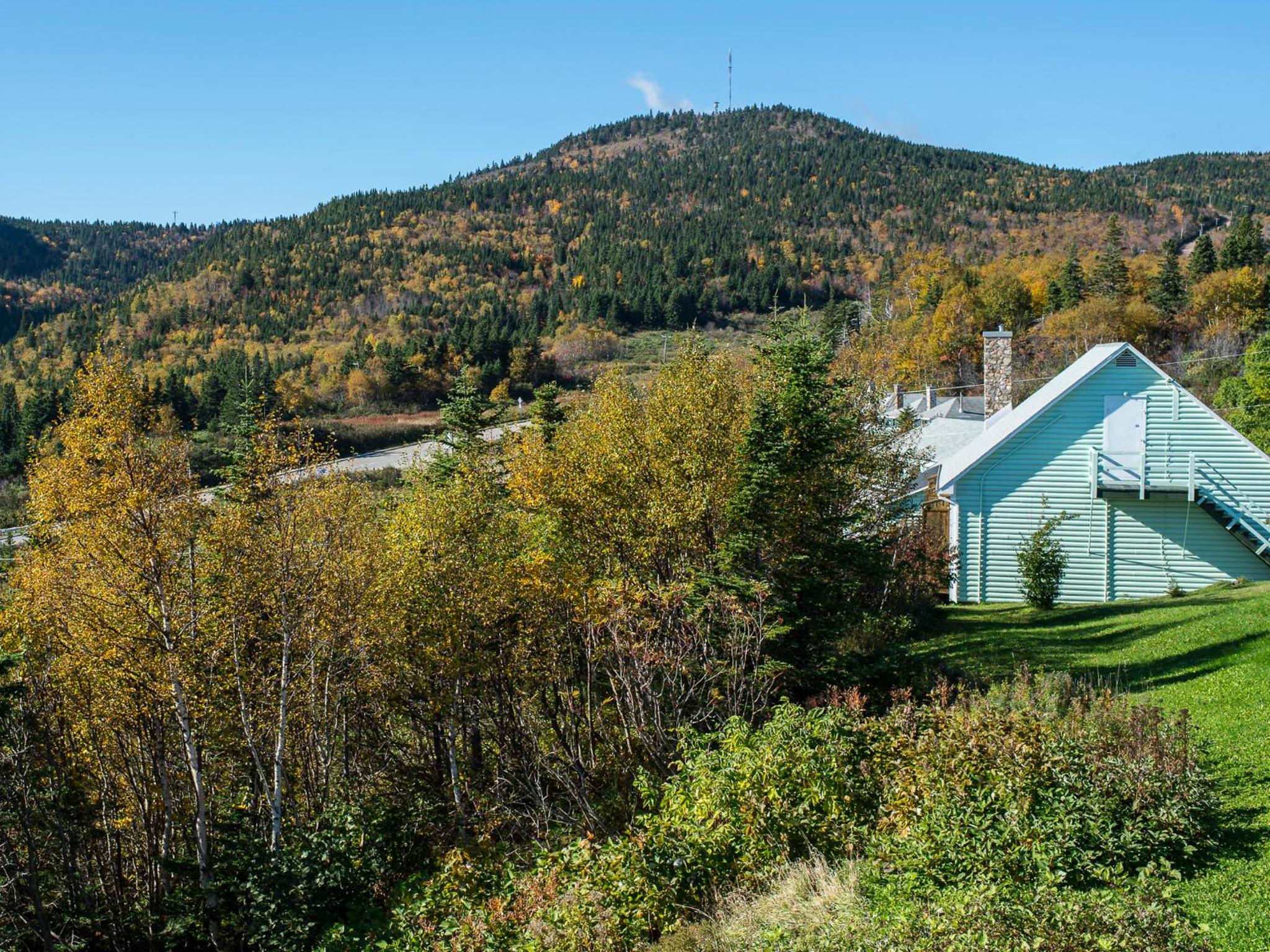 Au Pic de l'Aurore Motel-Chalets