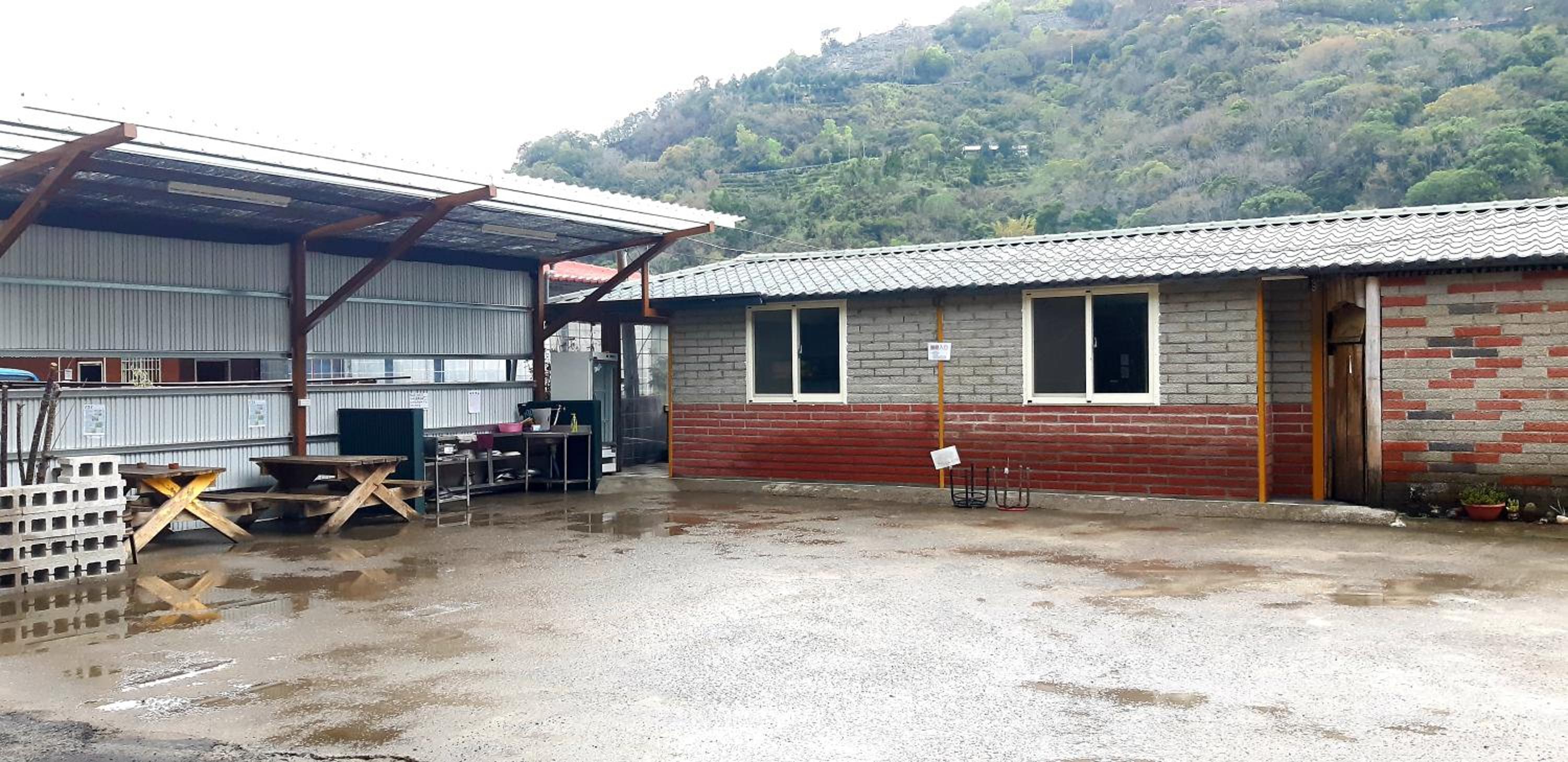 Lushan Xiangting Tea Homestay view 5