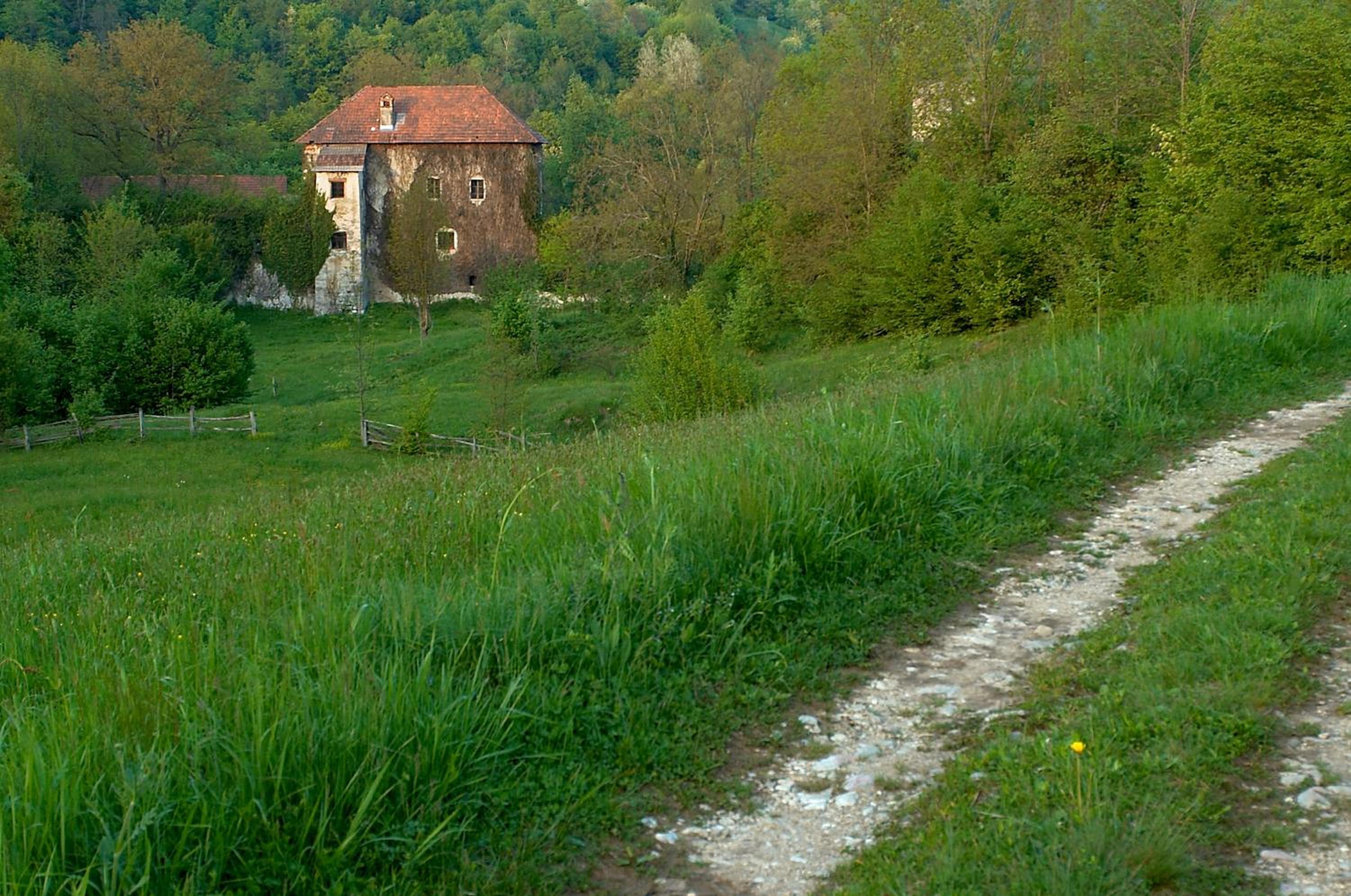 Photo 23