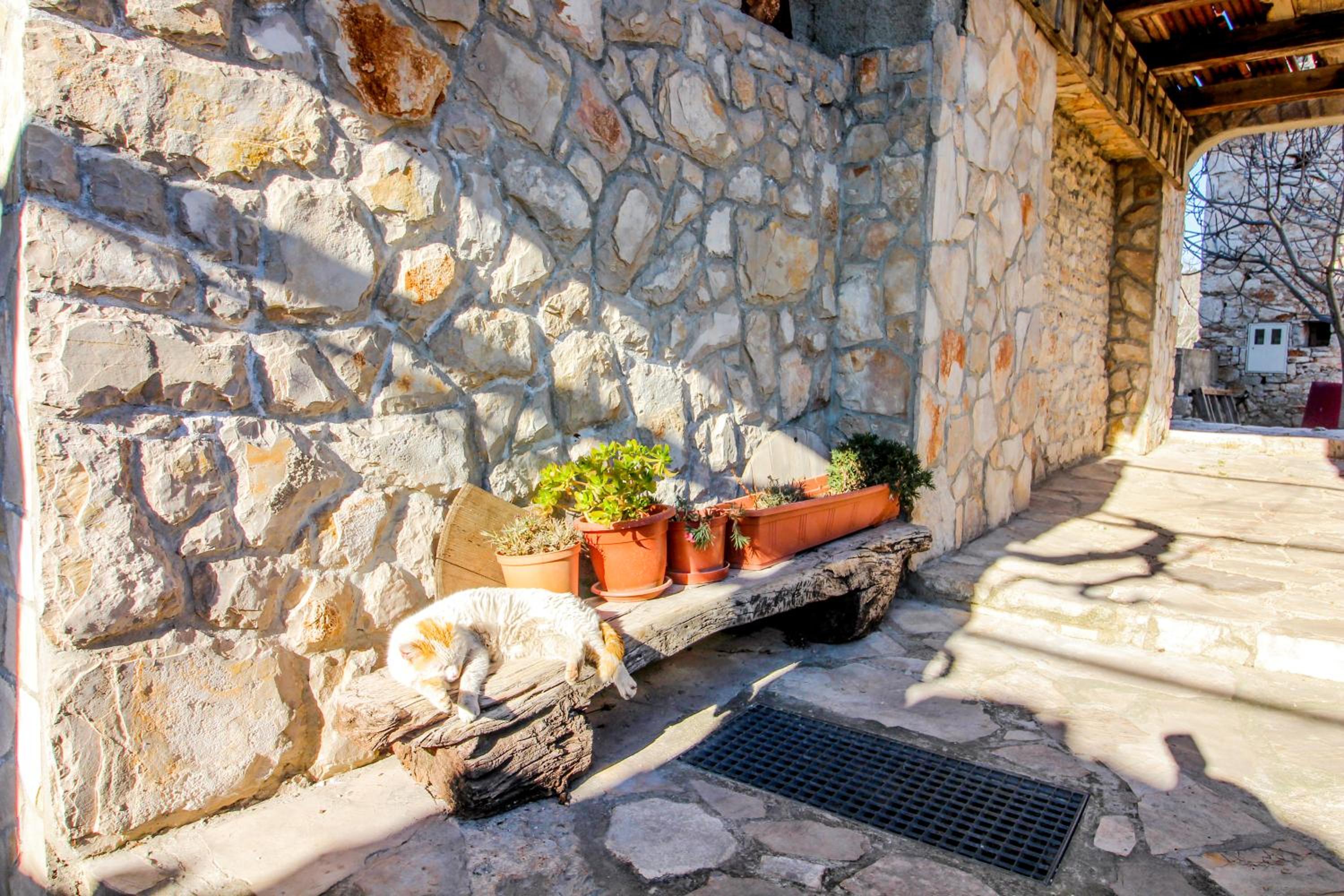 Apartman Matošin photo 3