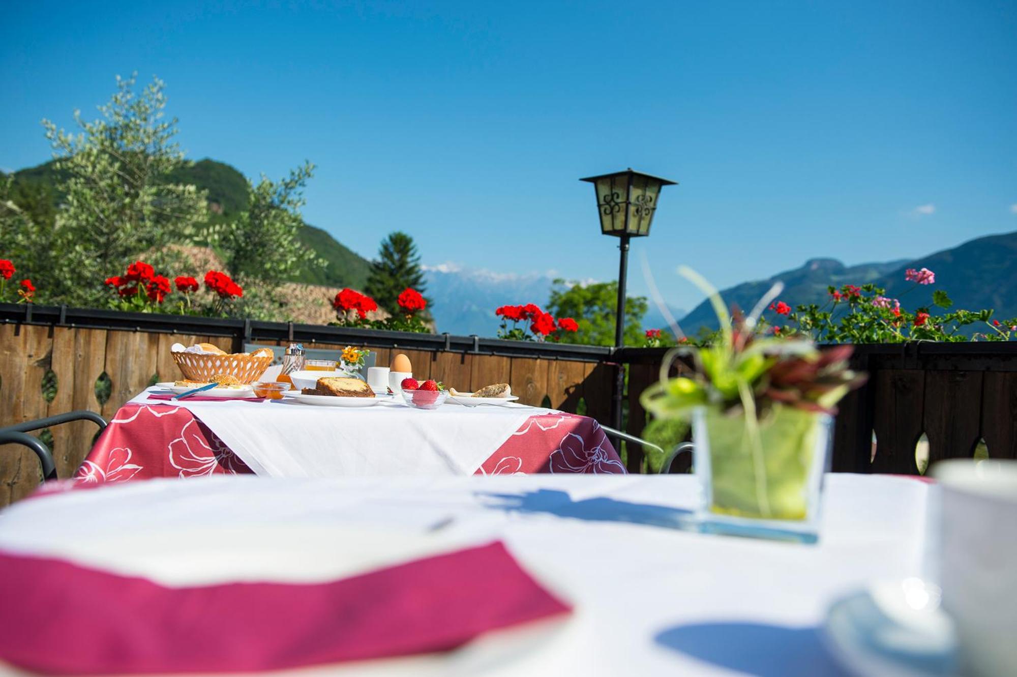Pension Stamserhof view 3
