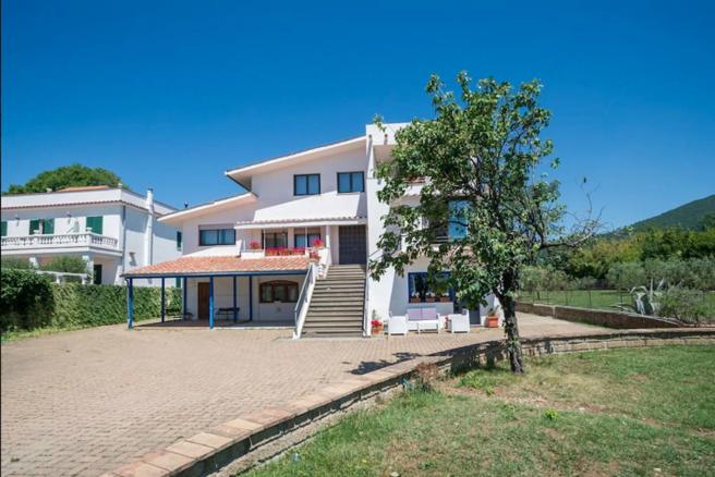 Photo 41