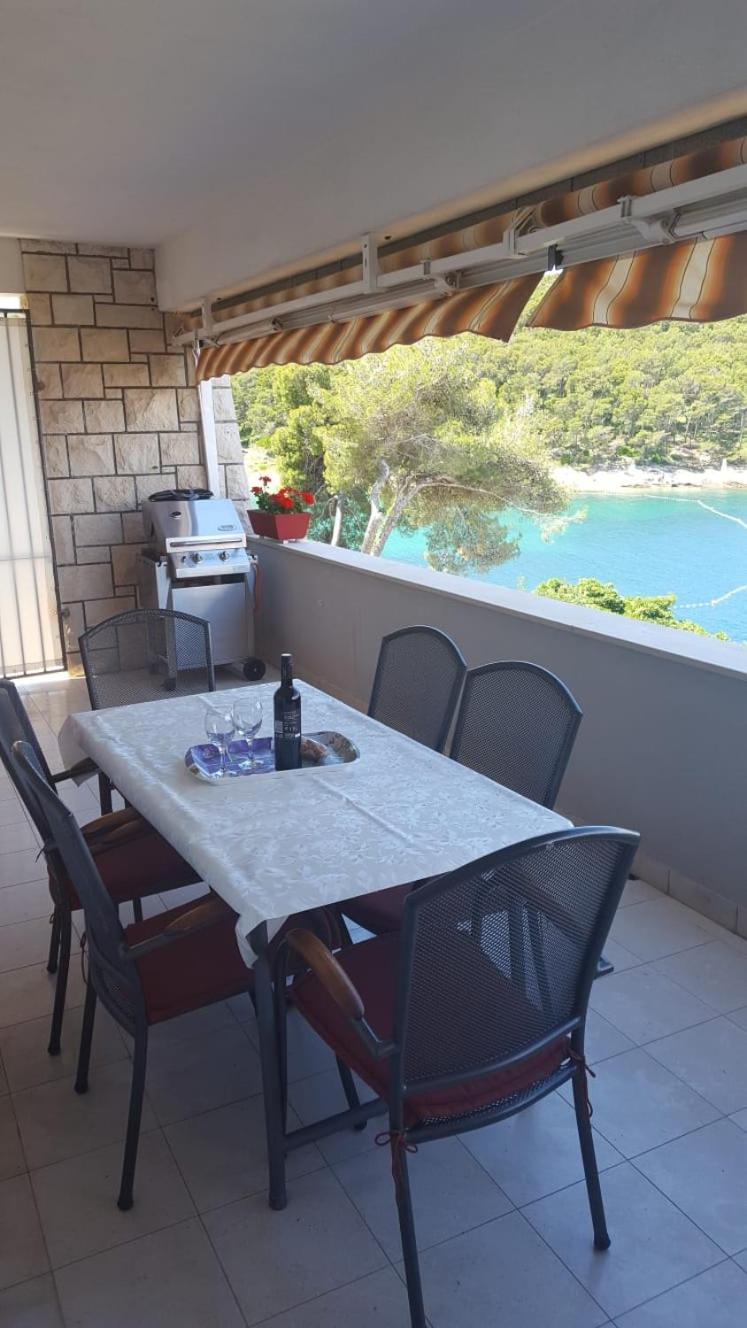 Apartment Petricic