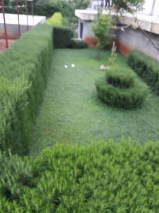 Photo 9