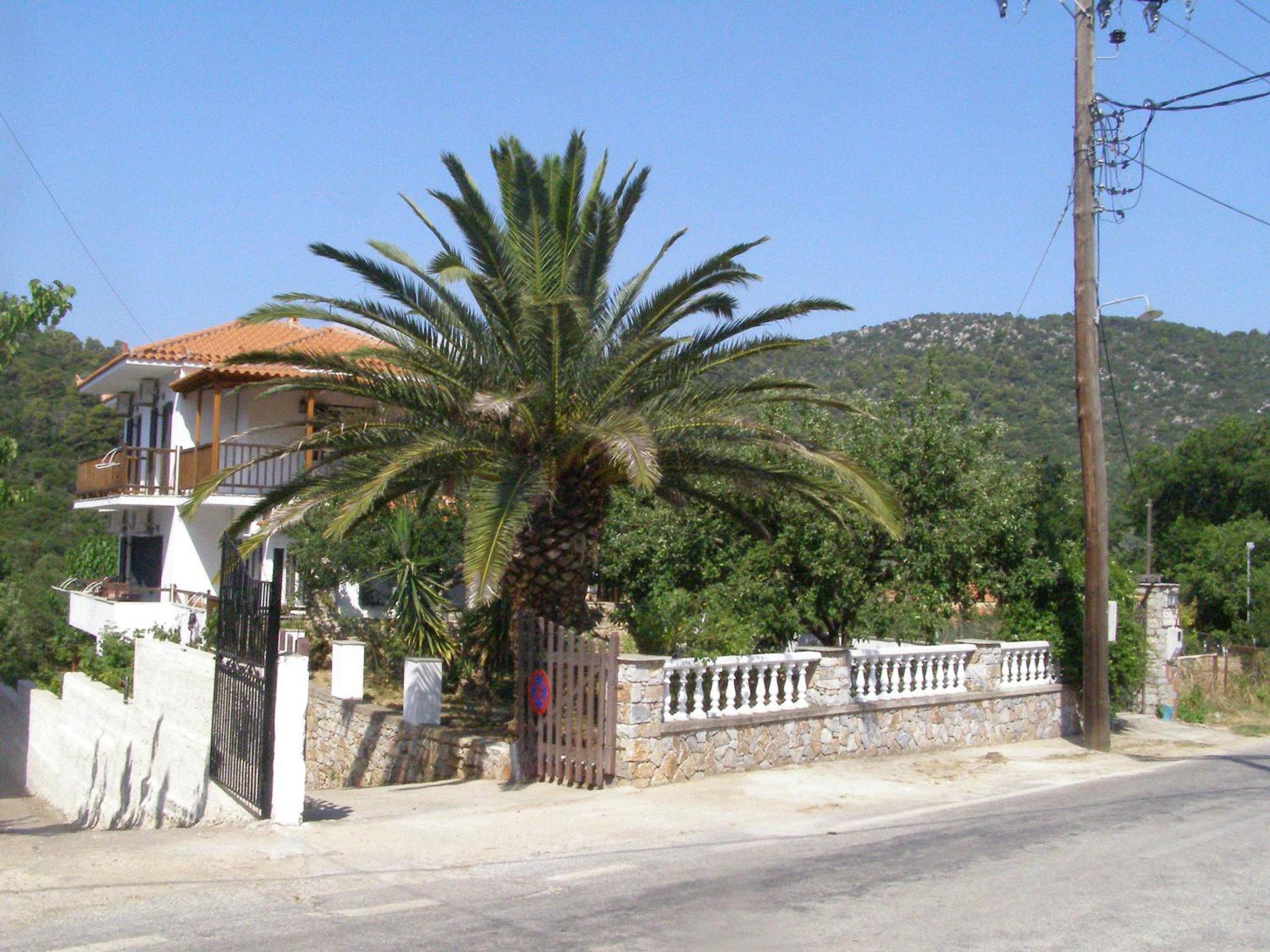 Photo 28