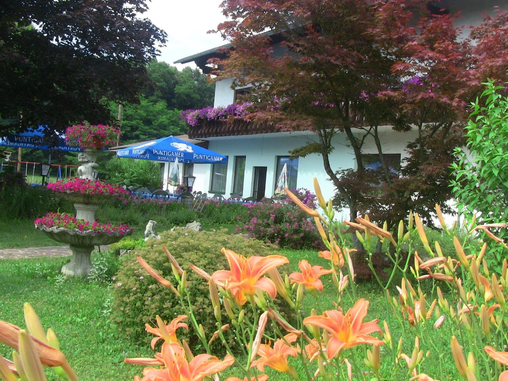 Photo 44