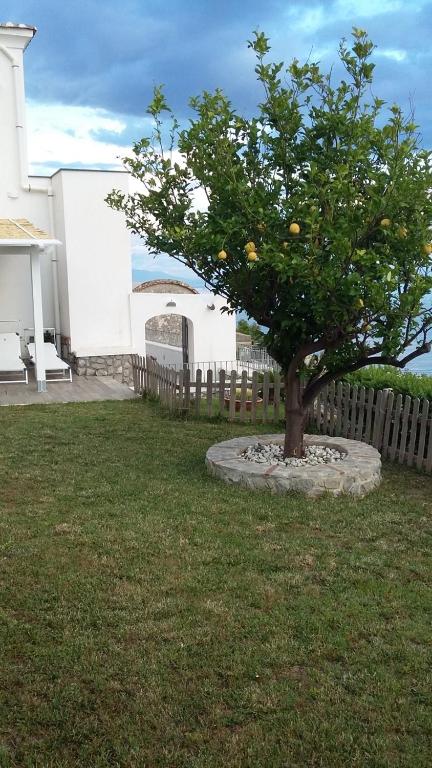 Villa Marilisa