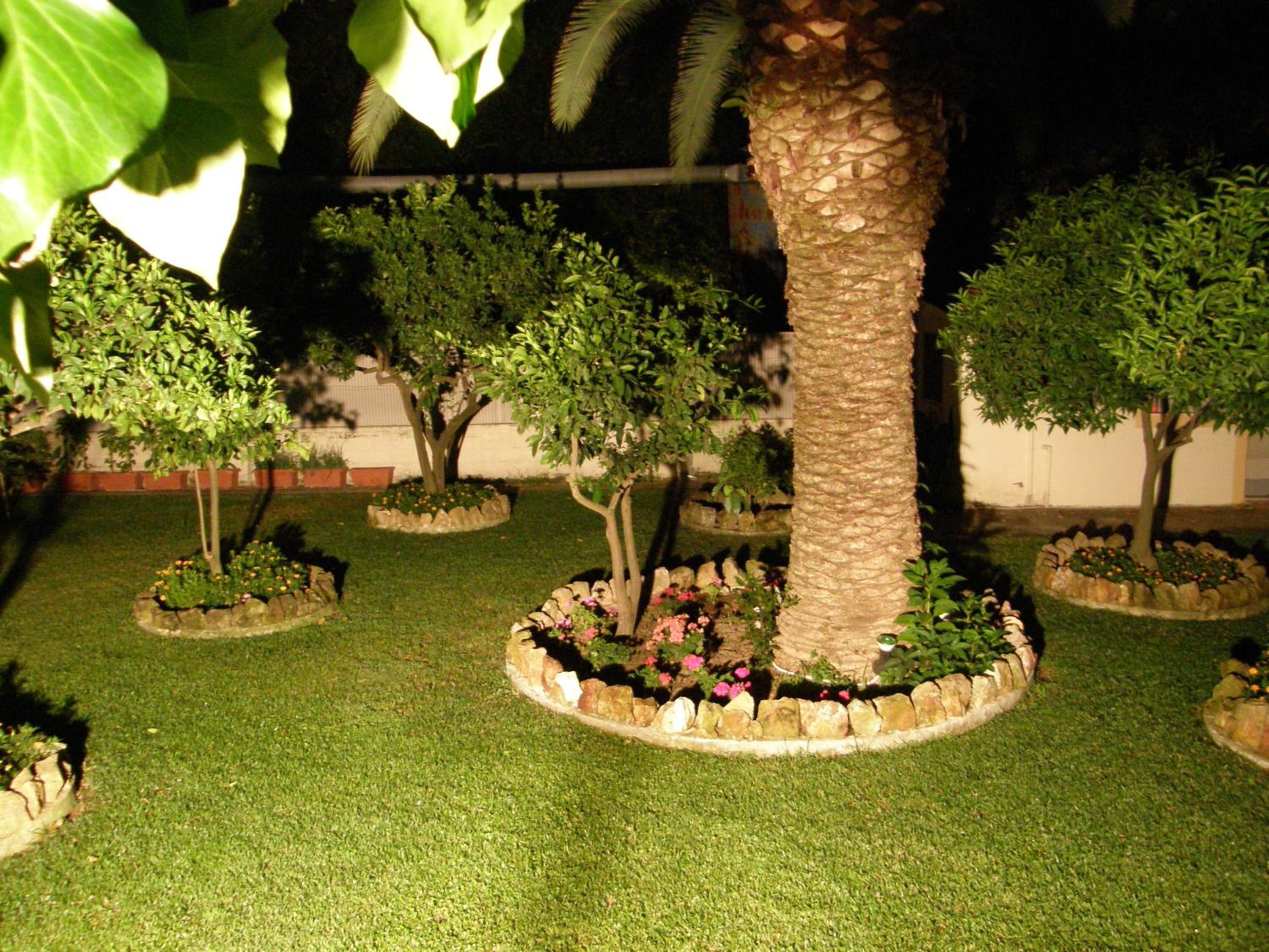 Photo 23