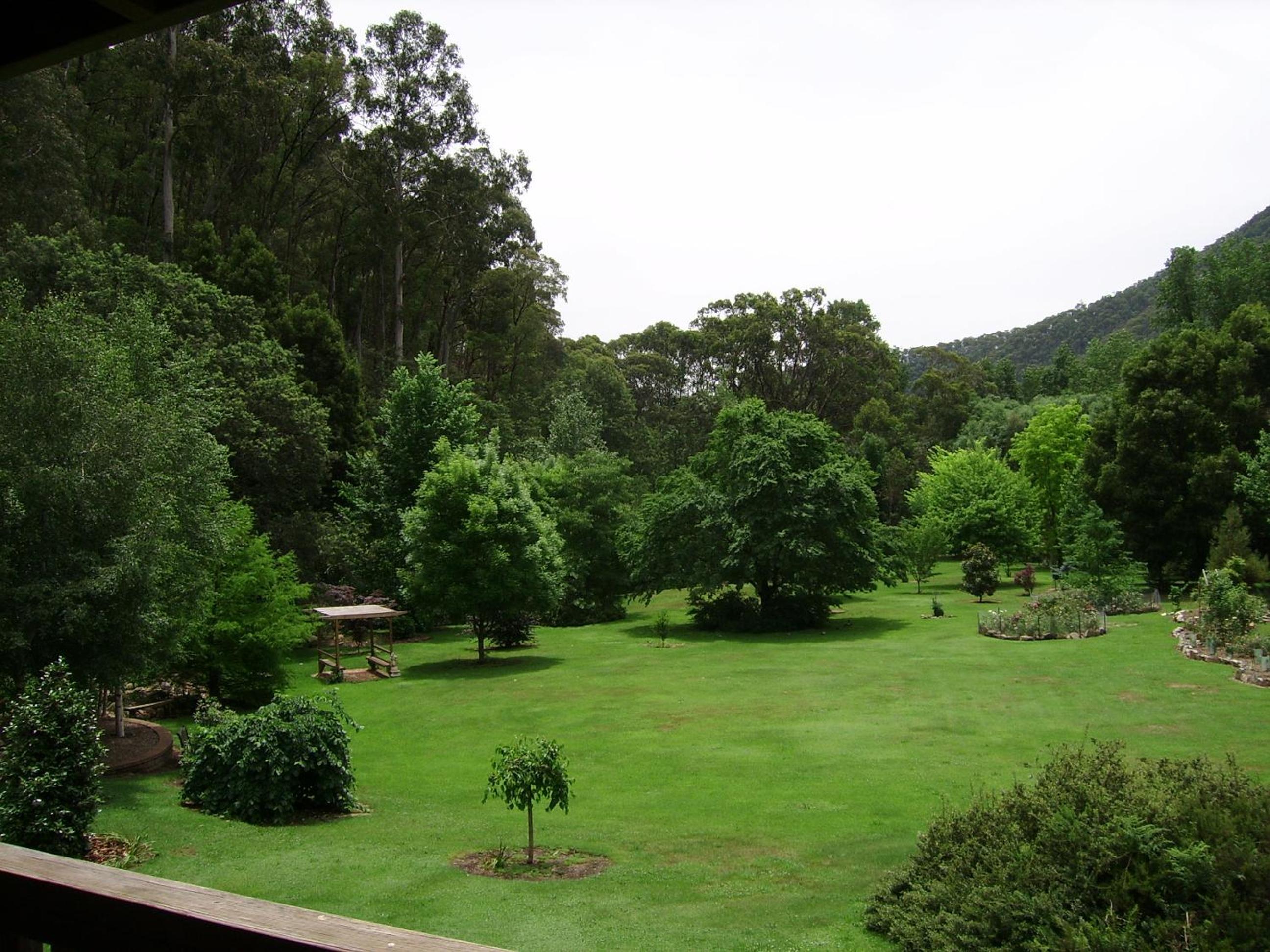 Photo 41