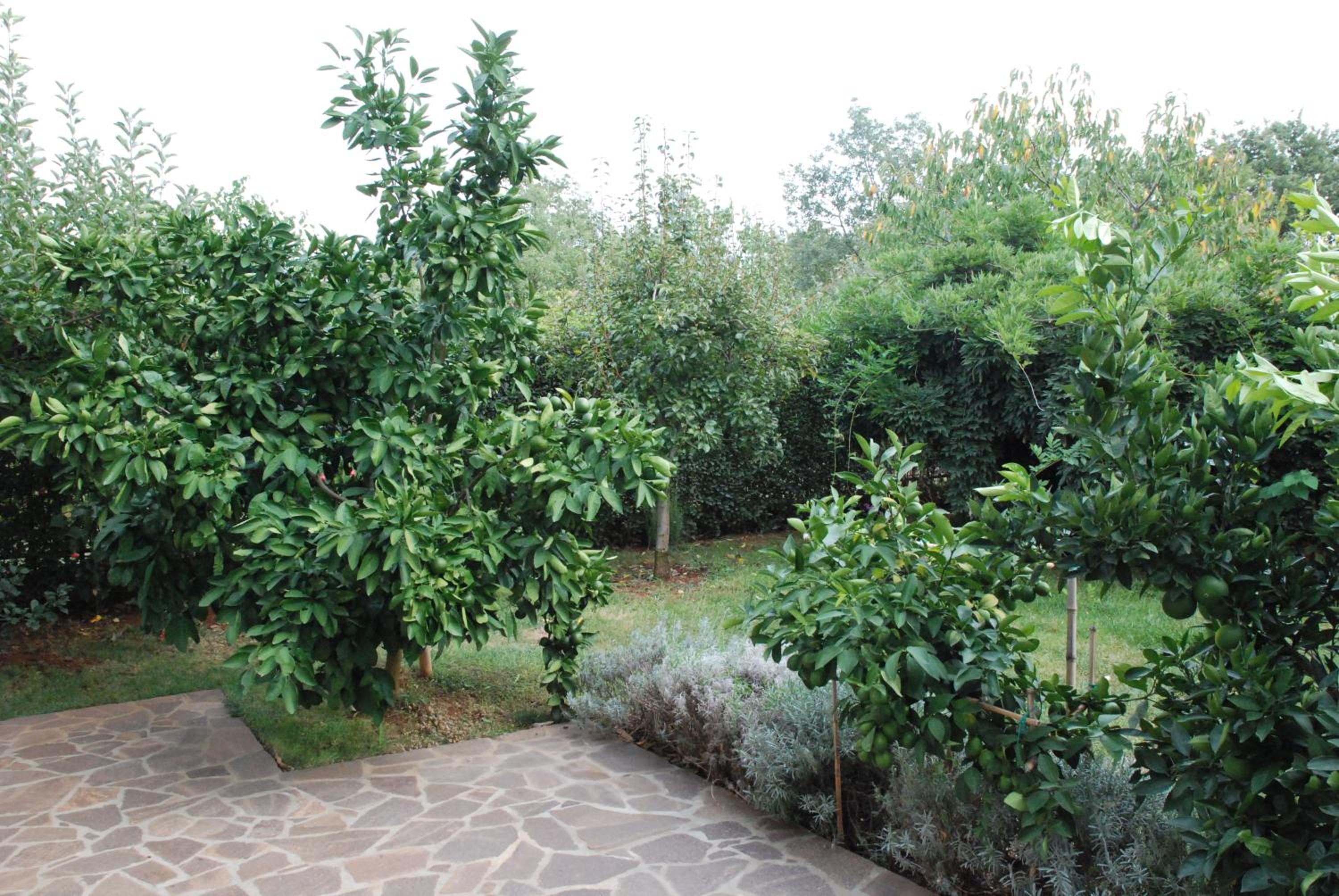 Apartmani Radin view 5