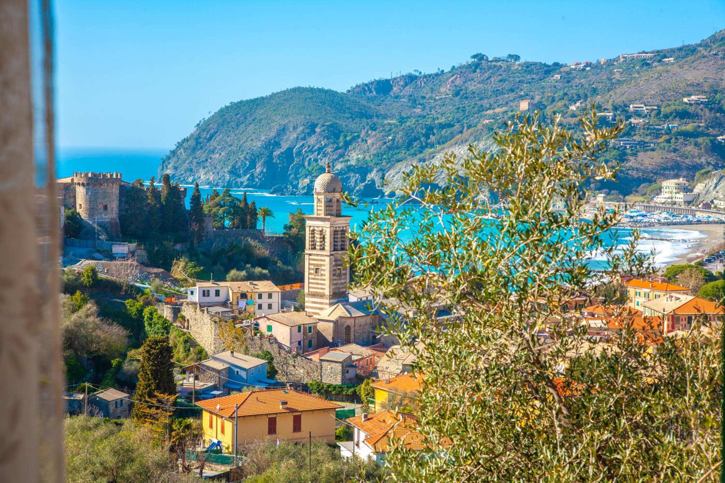 Olivi del Mesco