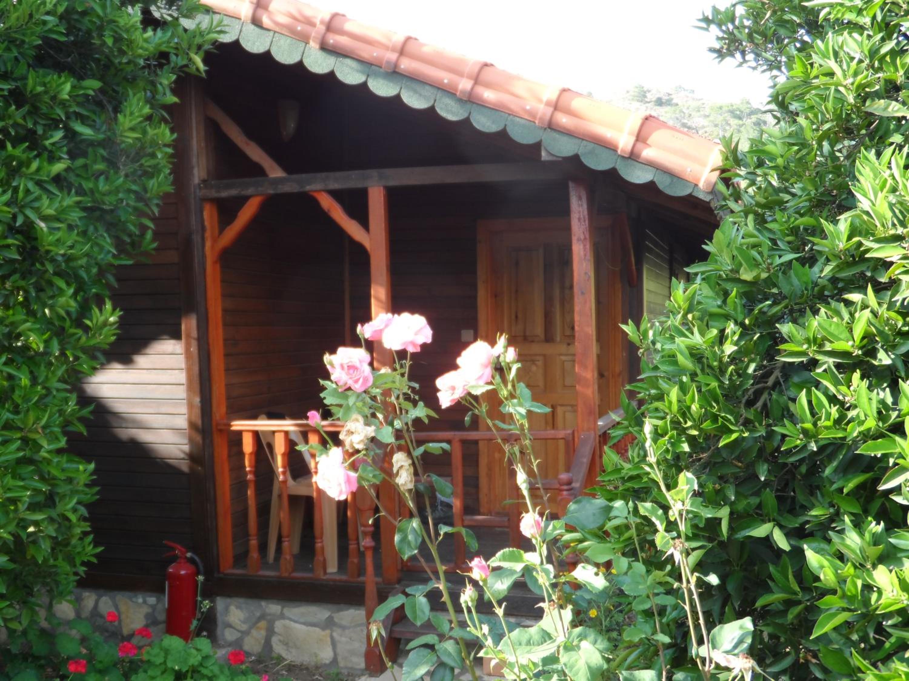 Photo 32