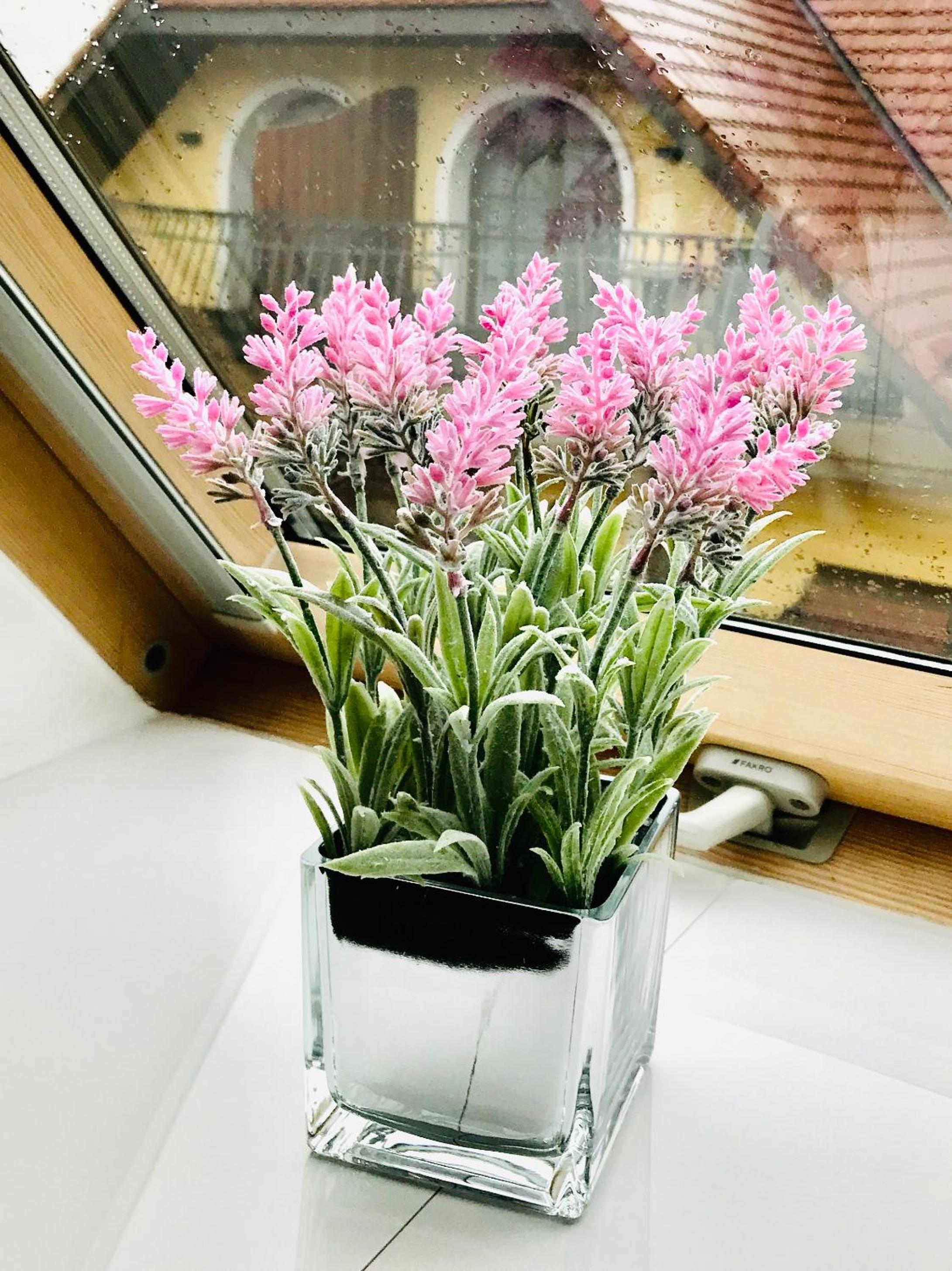 Apartament Davos