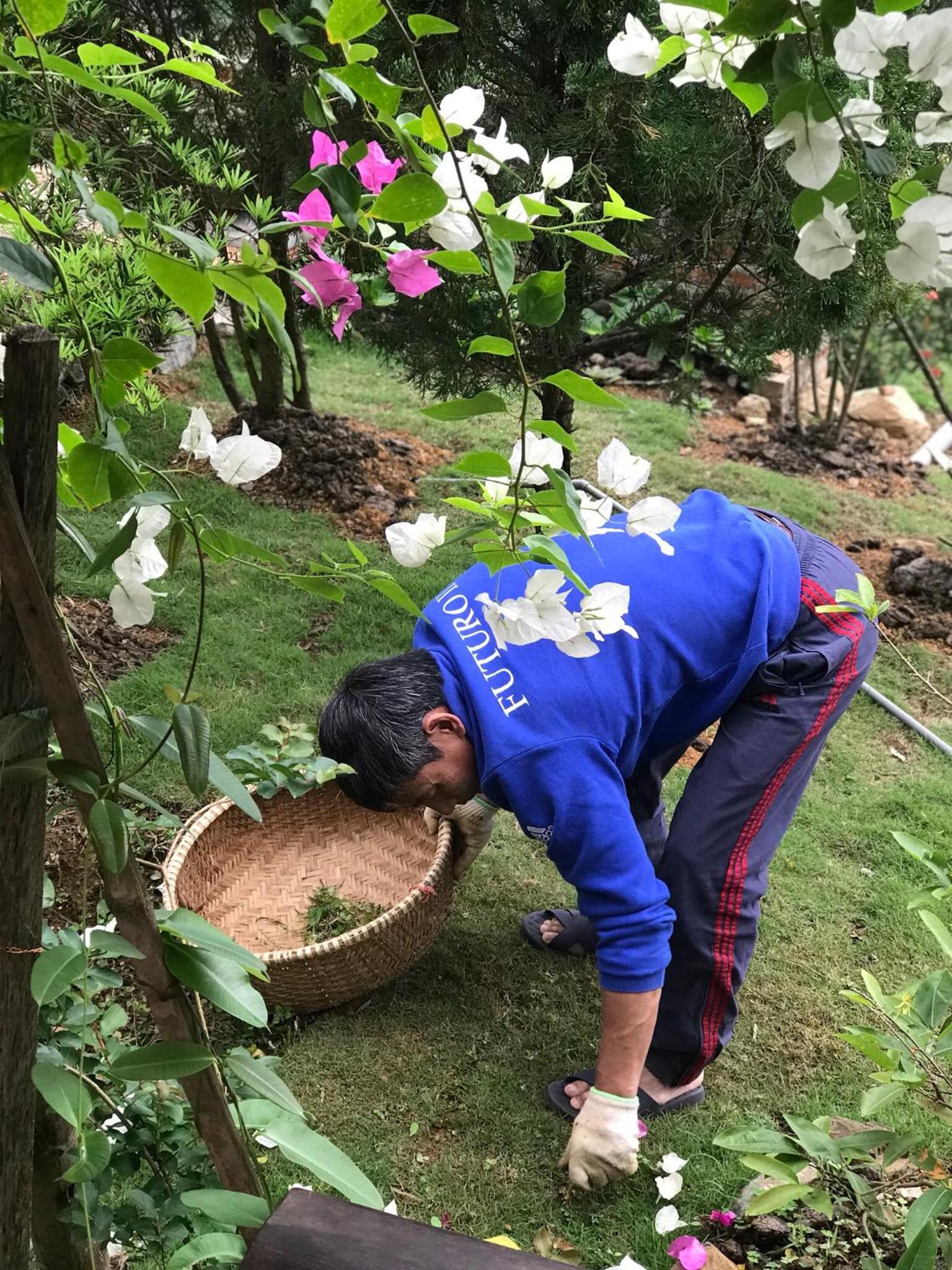 Photo 35