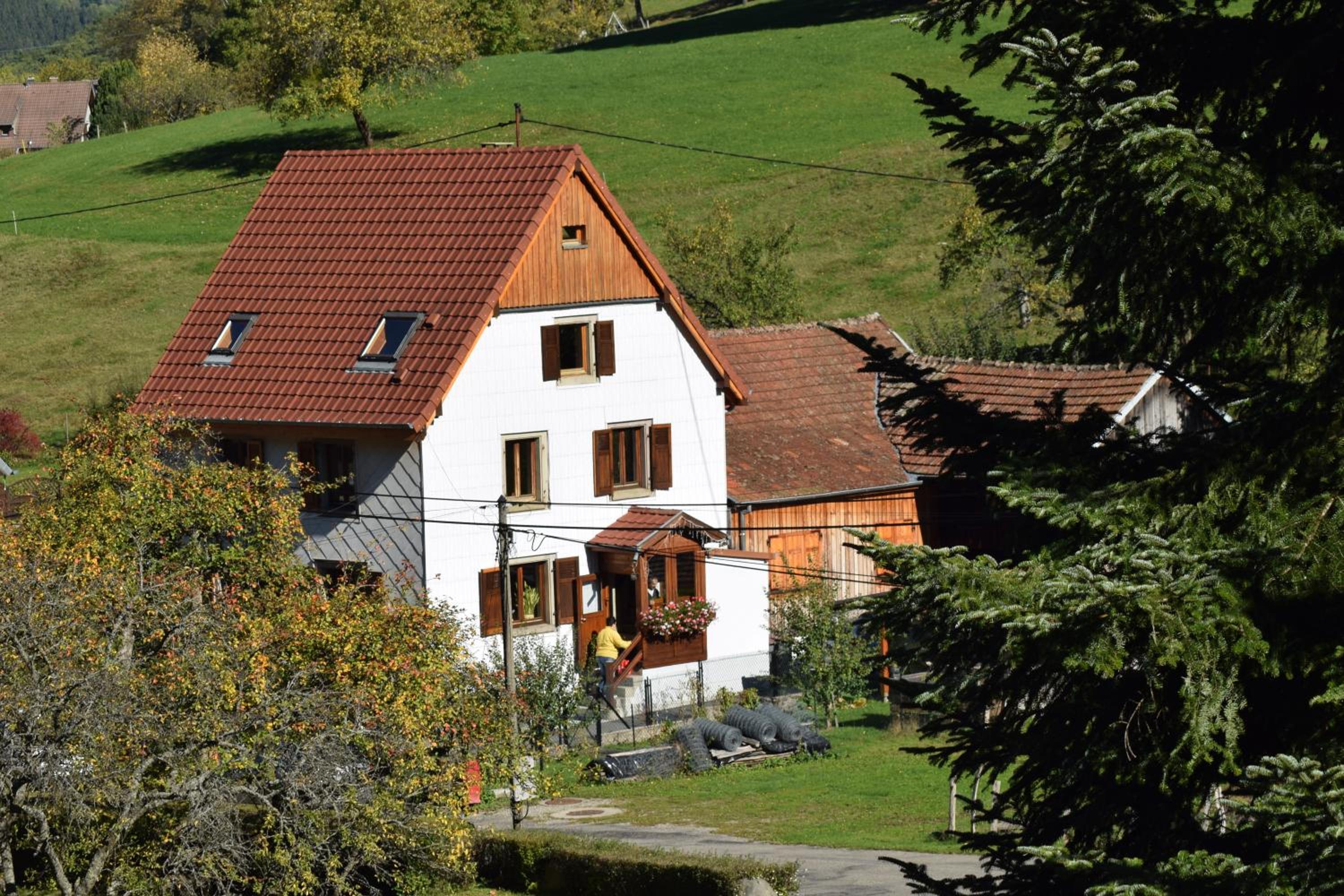Photo 20