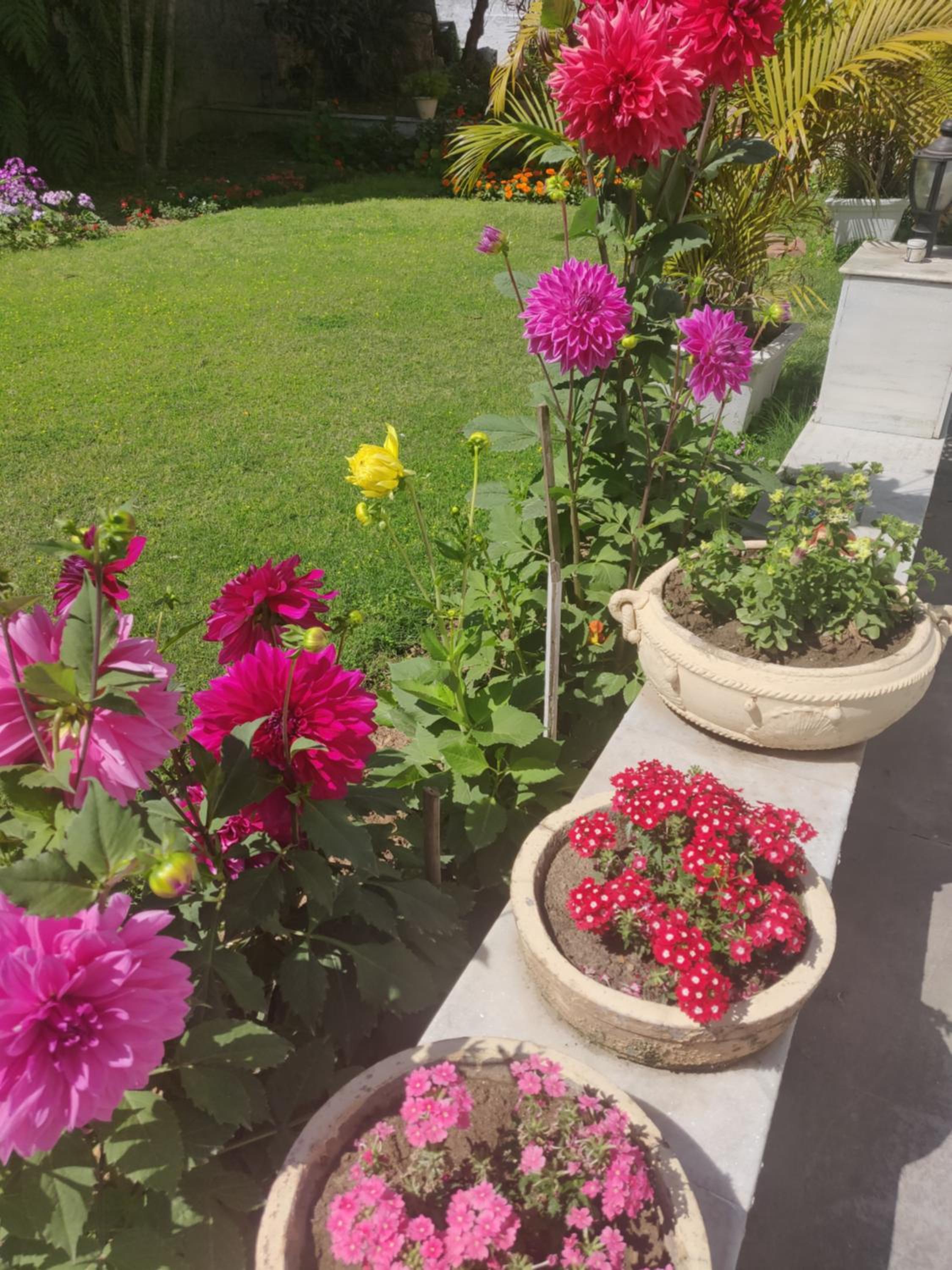 Heritage Homestay view 3