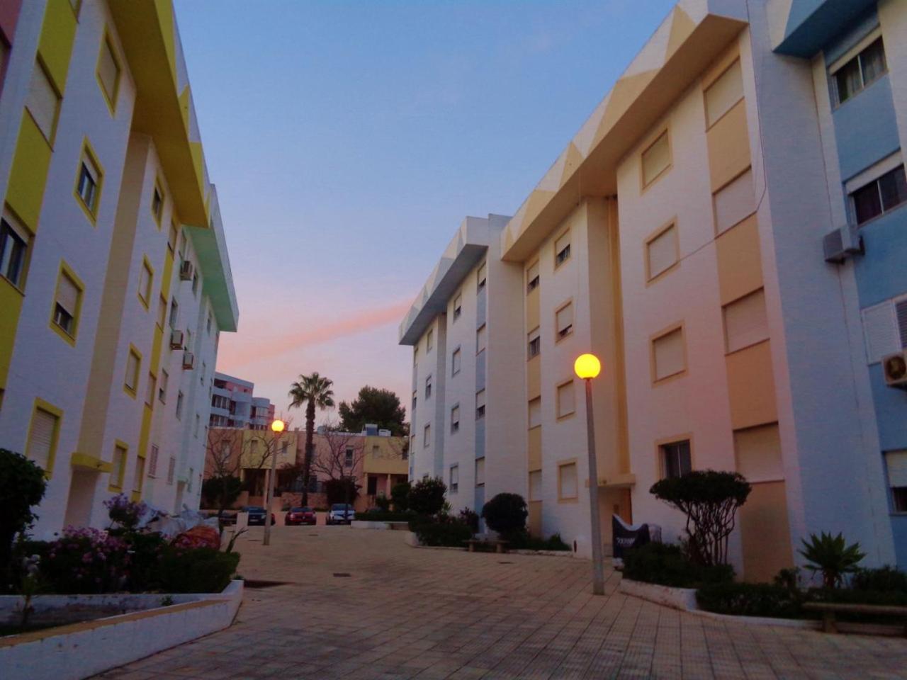 Apartment Poeta Aleixo in Faro view 4
