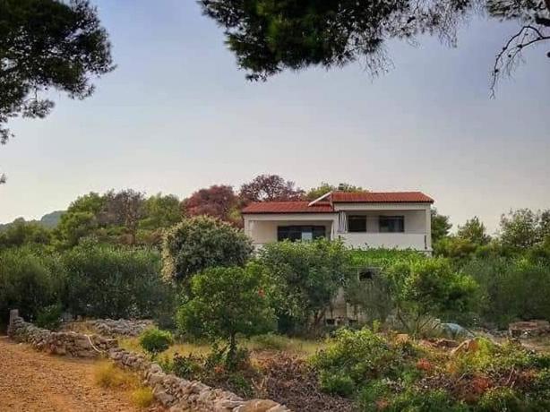 Apartmani Lina view 4