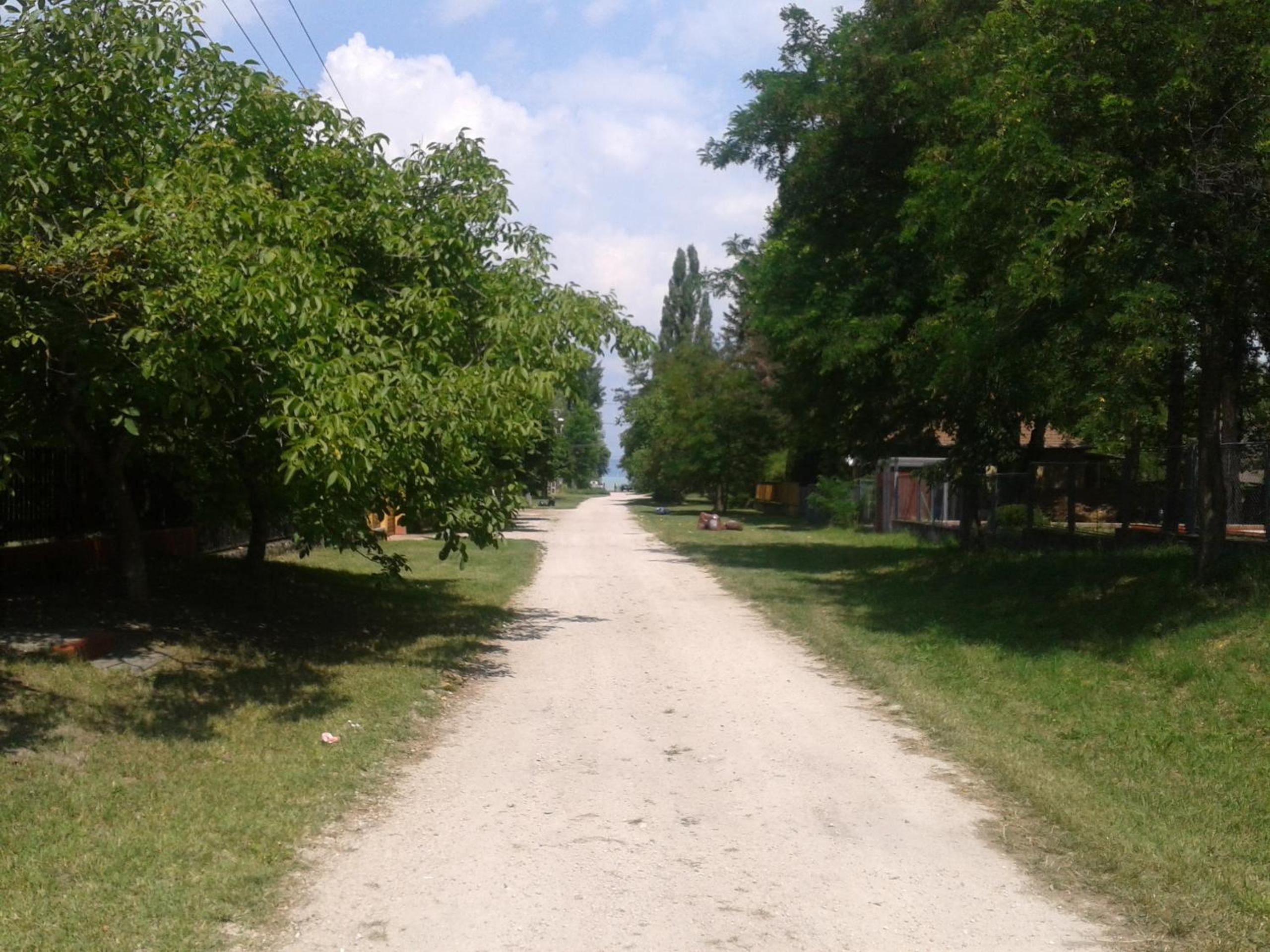 Photo 33