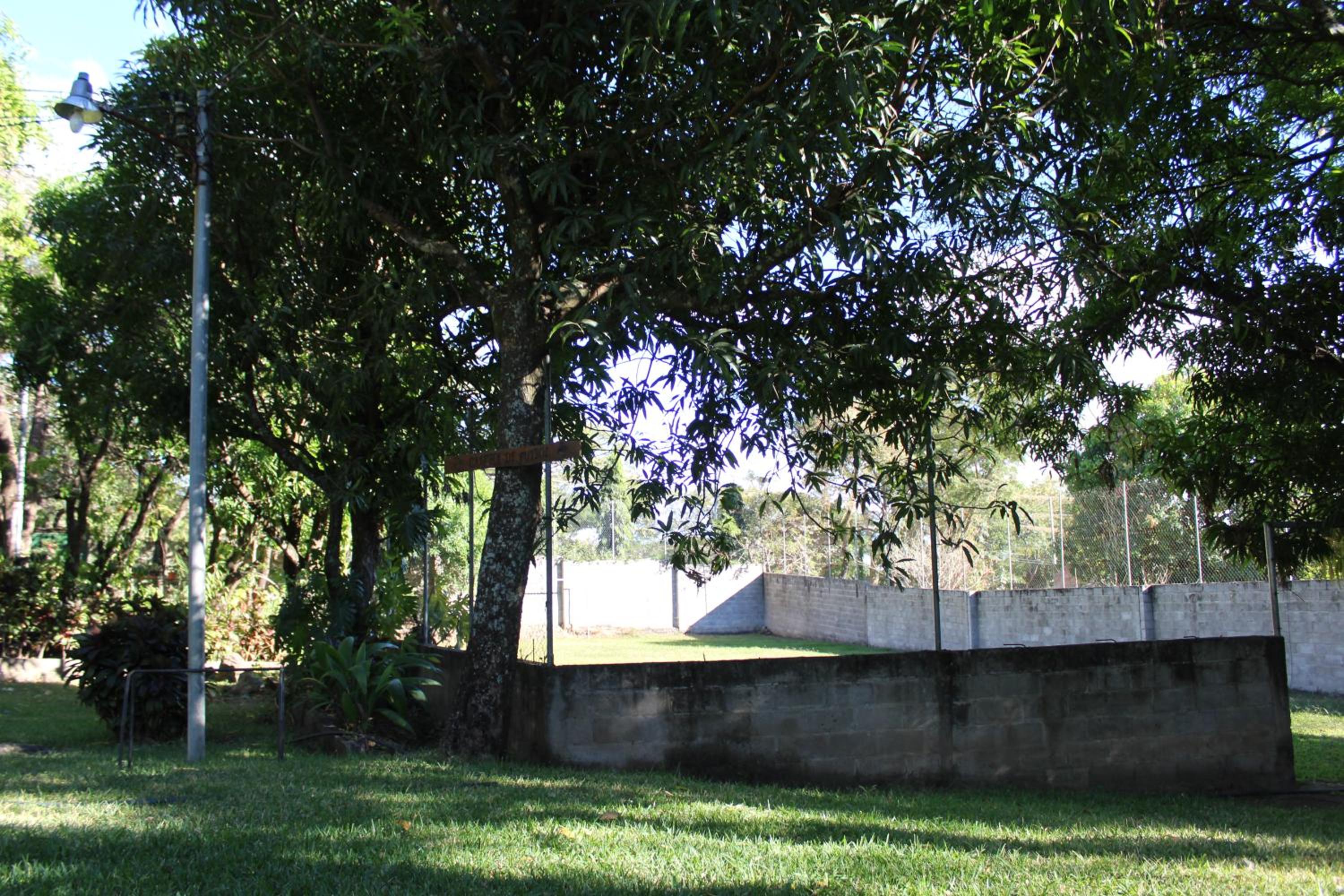 Photo 9