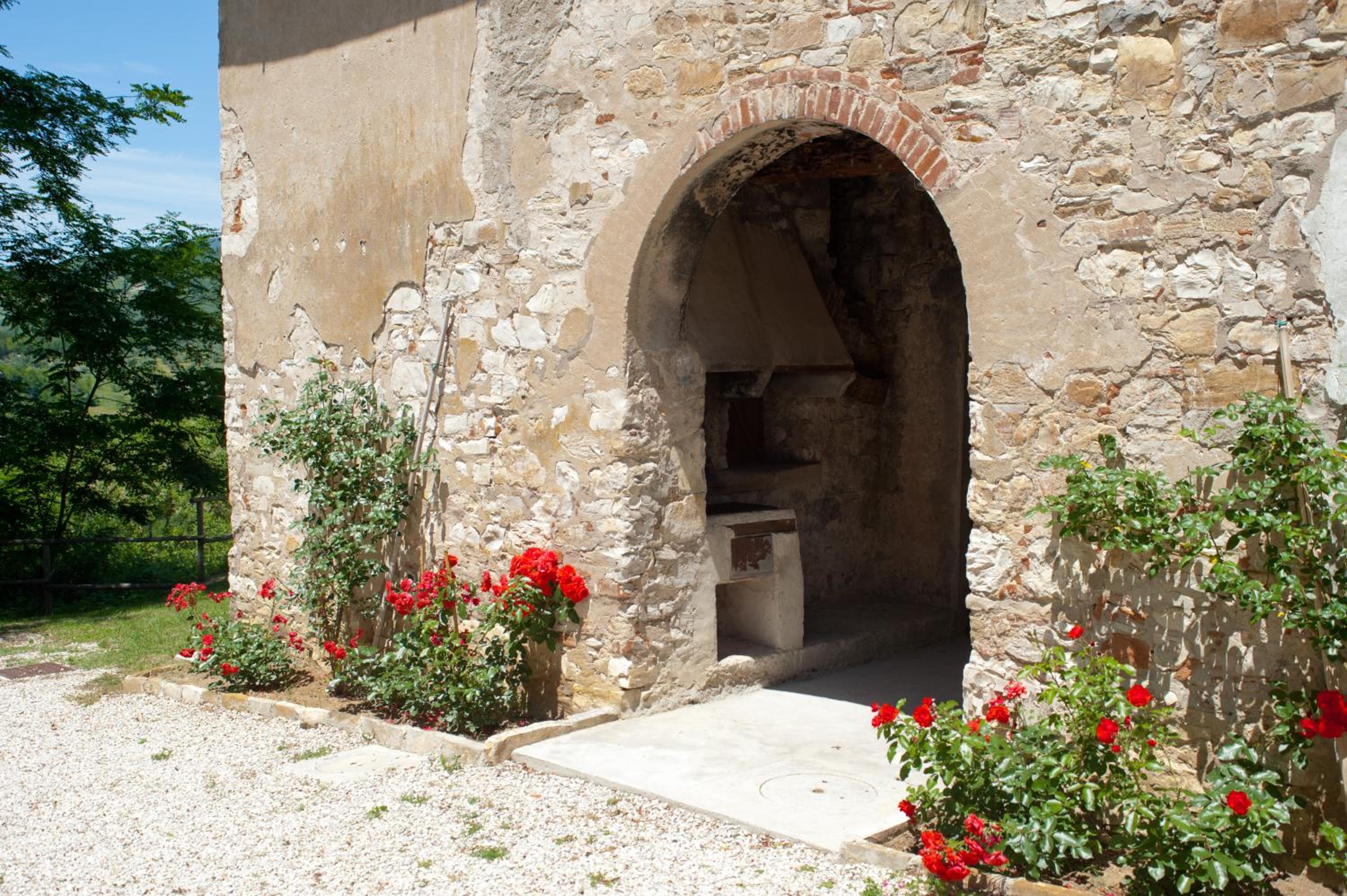 Photo 41