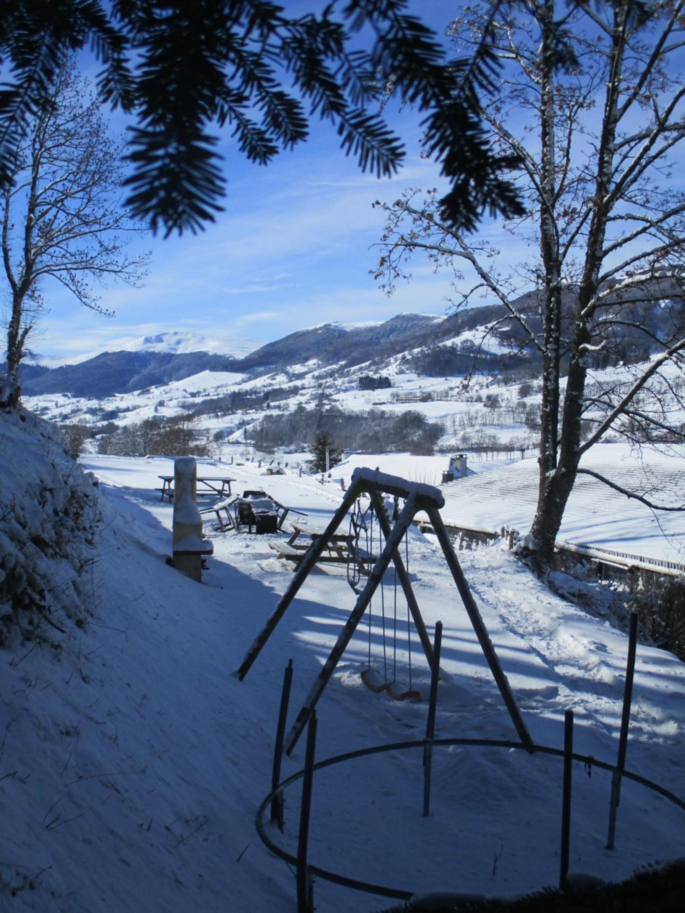 Photo 15