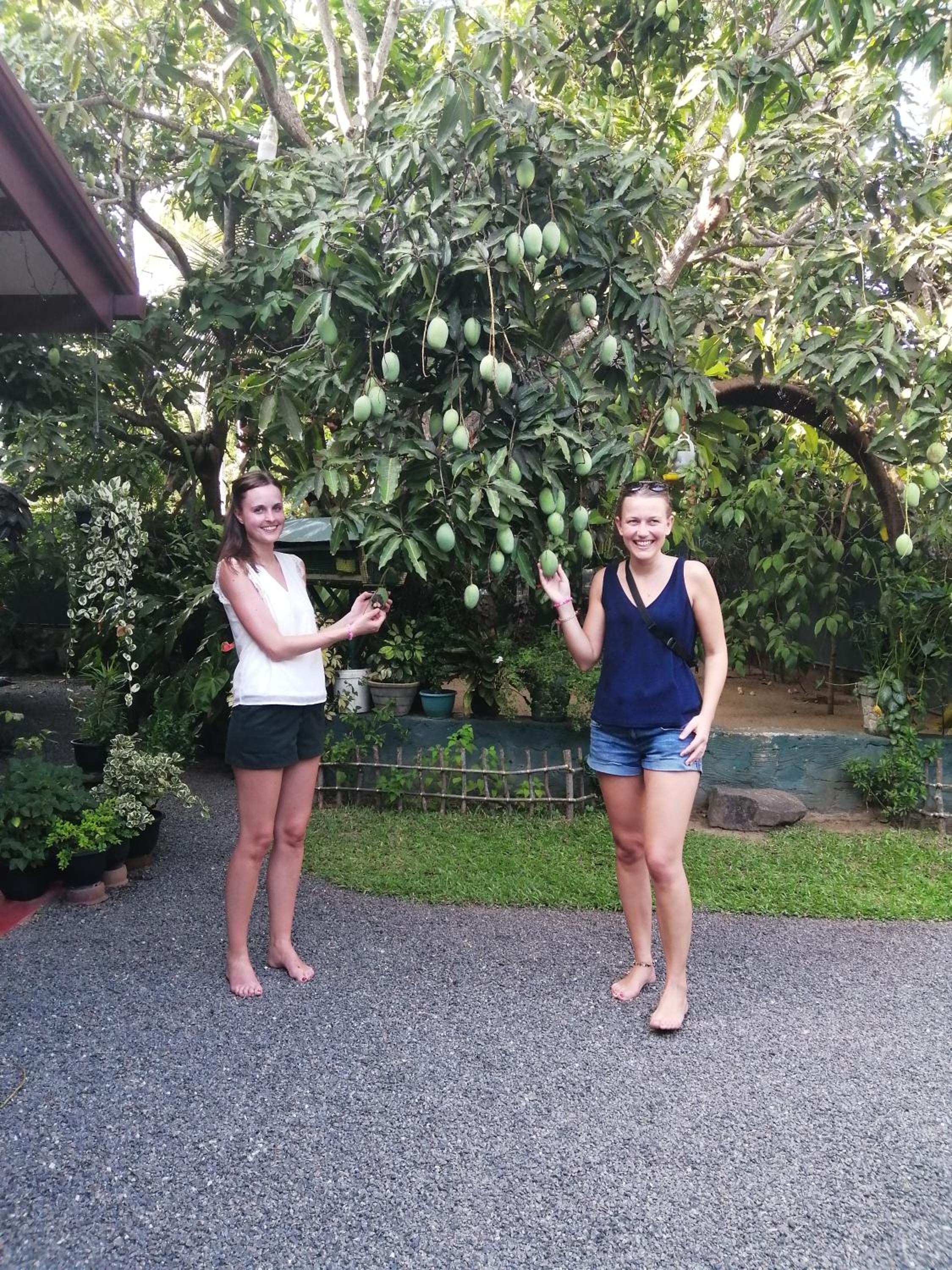 Kanthi Holiday Rest Homestay