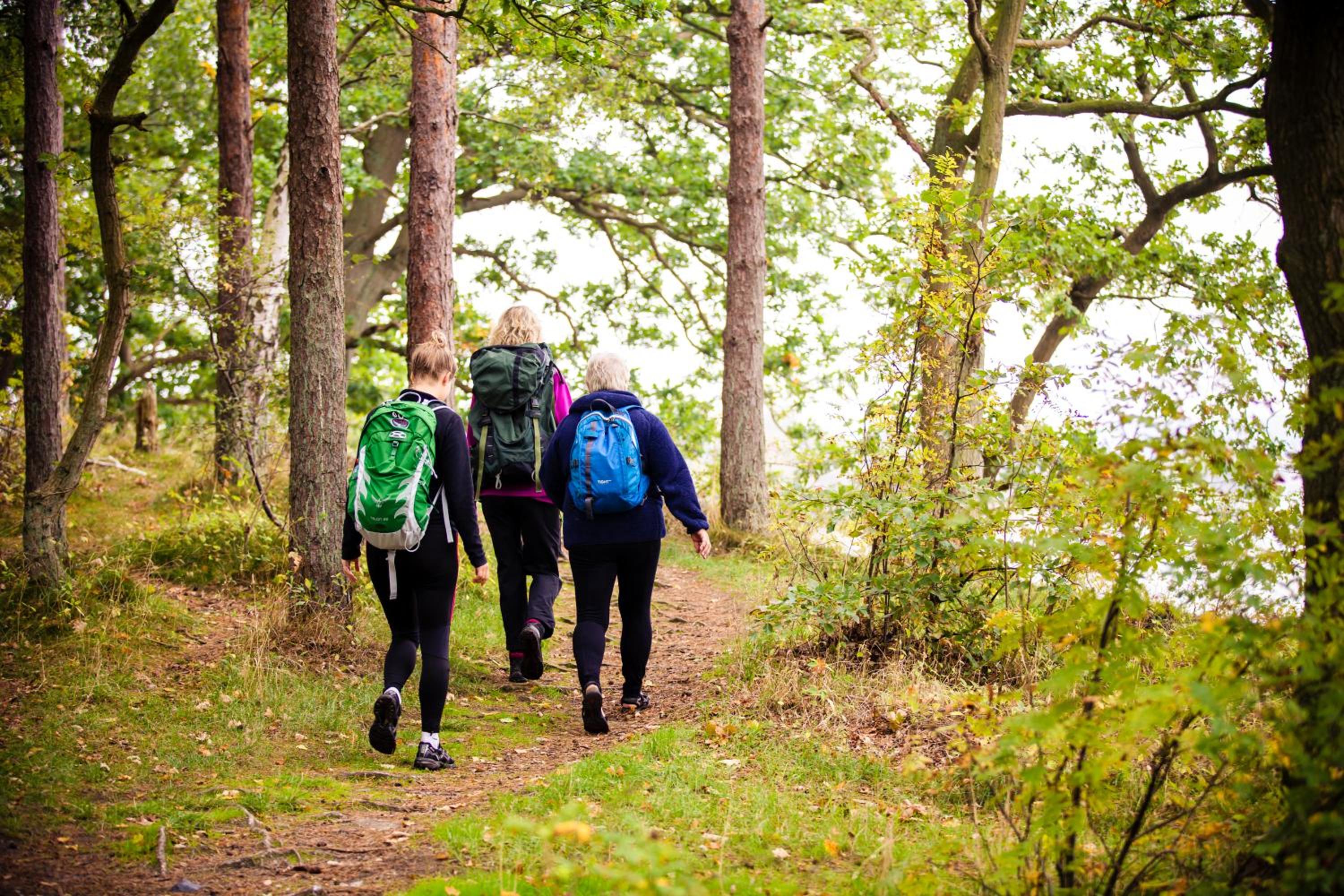 Feriepark Langeland Emmerbølle (Feriepark Langeland)