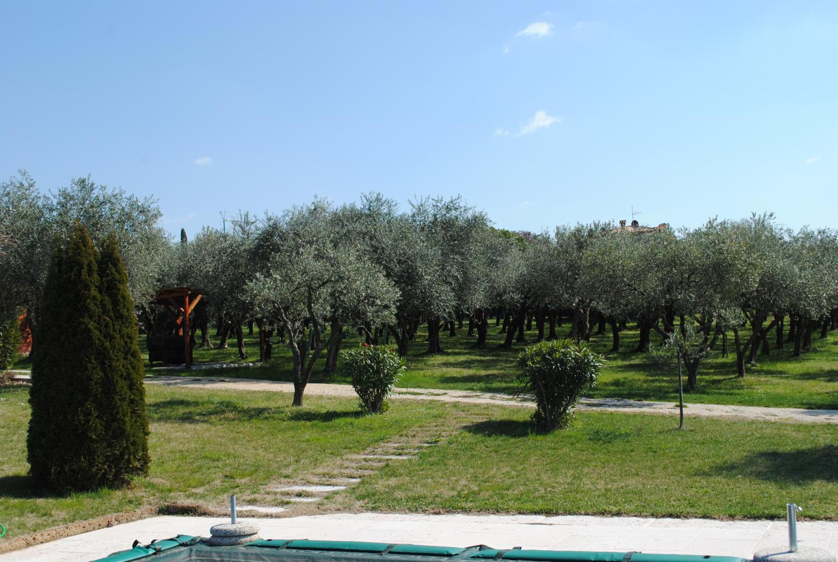 AGRITURISMO MELOGRANO D'ORO view 3