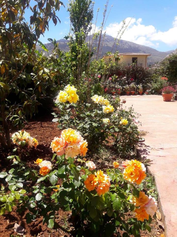 Il Roseto di Betty villa piano T e 1 photo 2