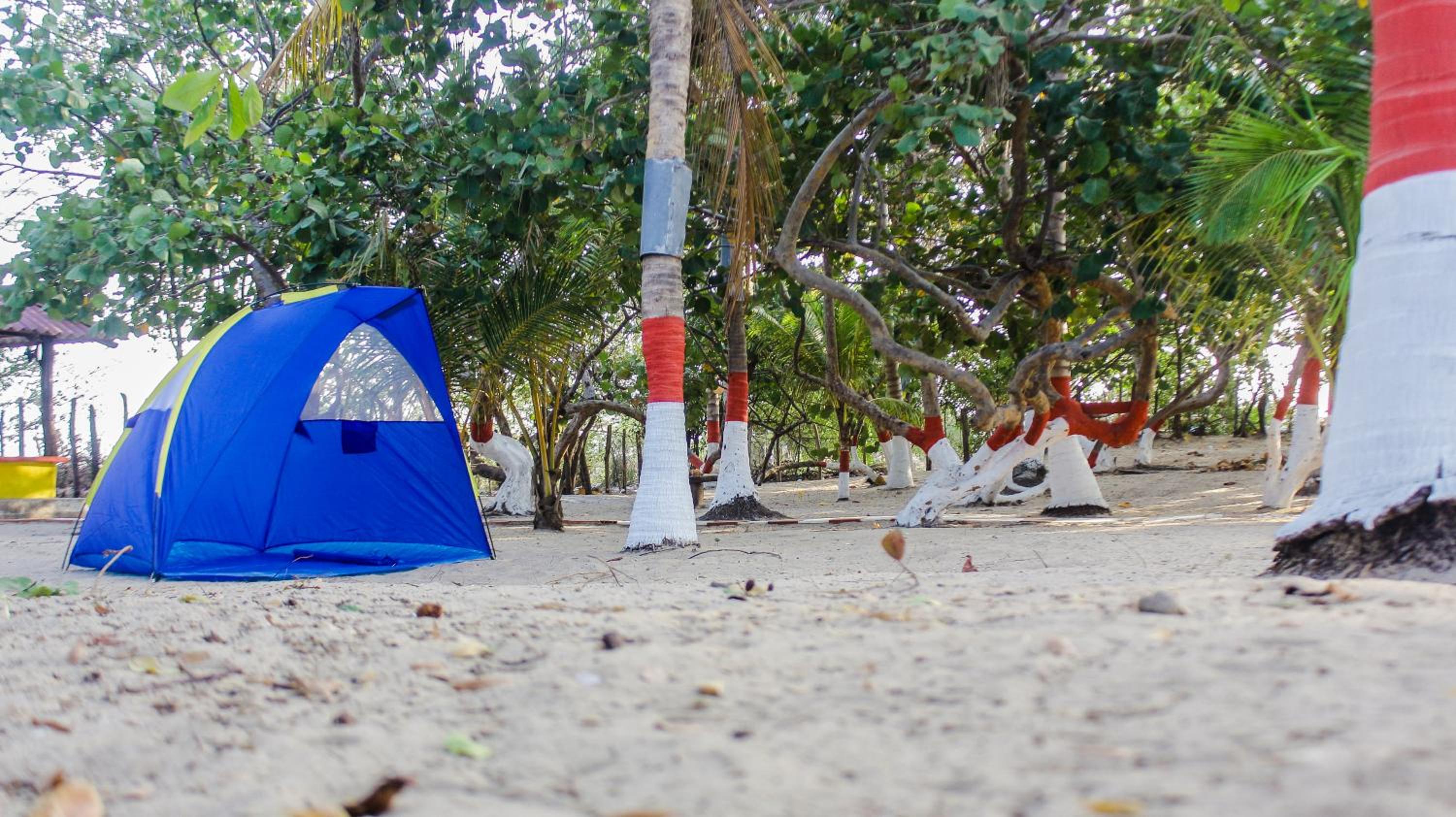 Playa Samara Hostel