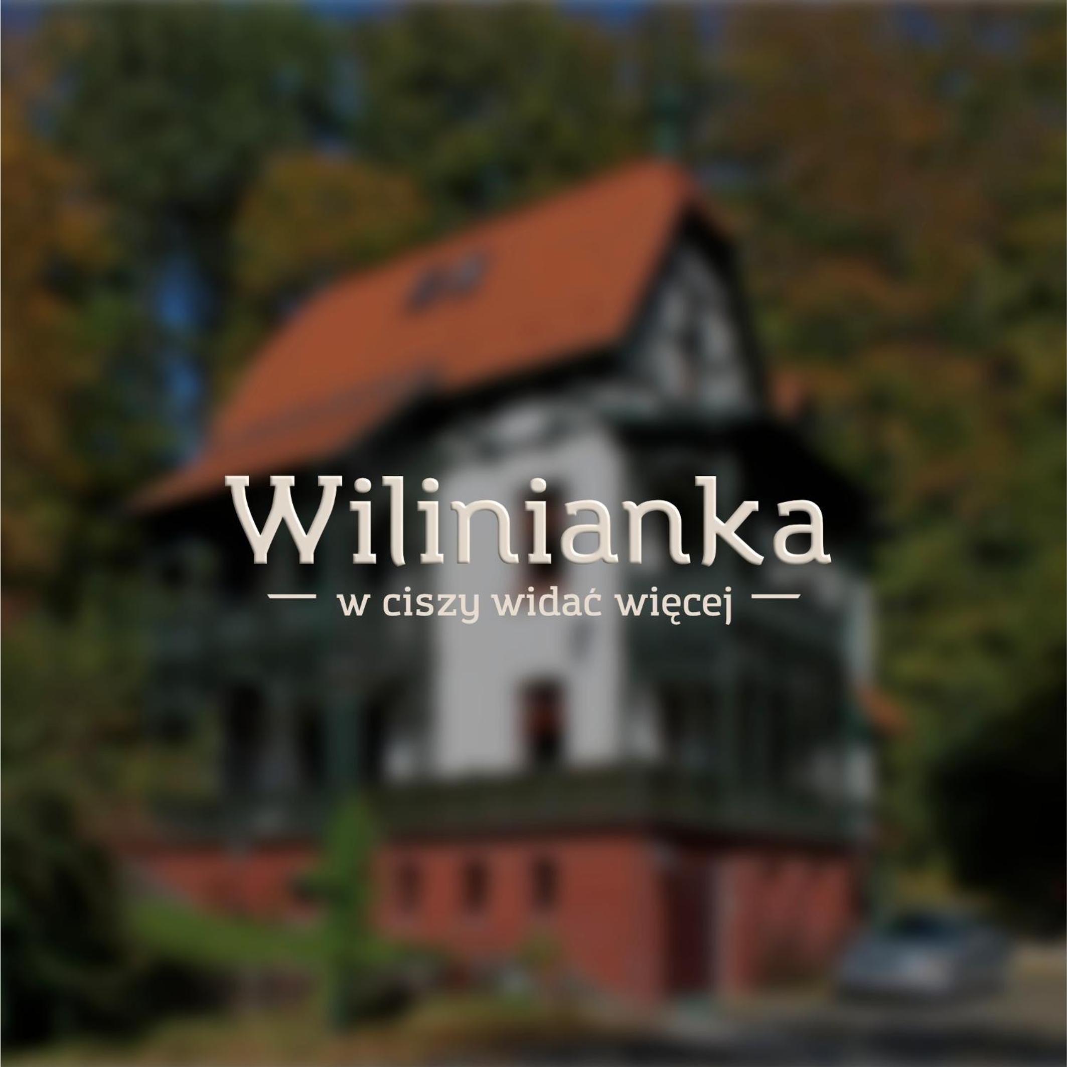 Wilinianka view 4