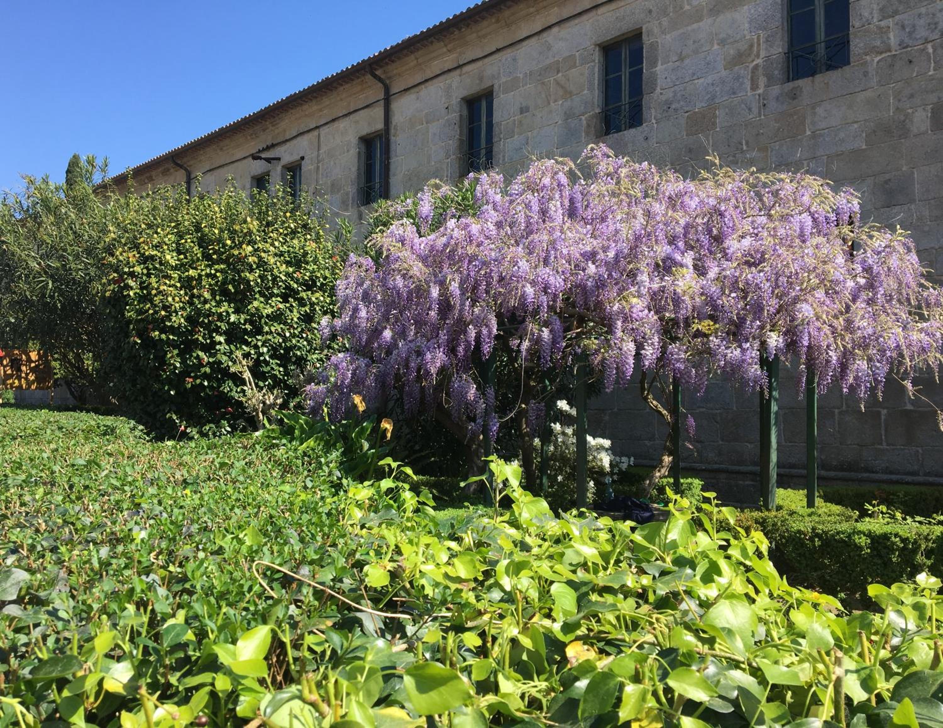 Albergue Convento Del Camino view 5