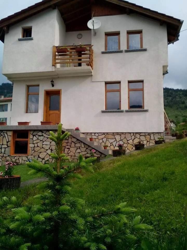 Villa Zdravets