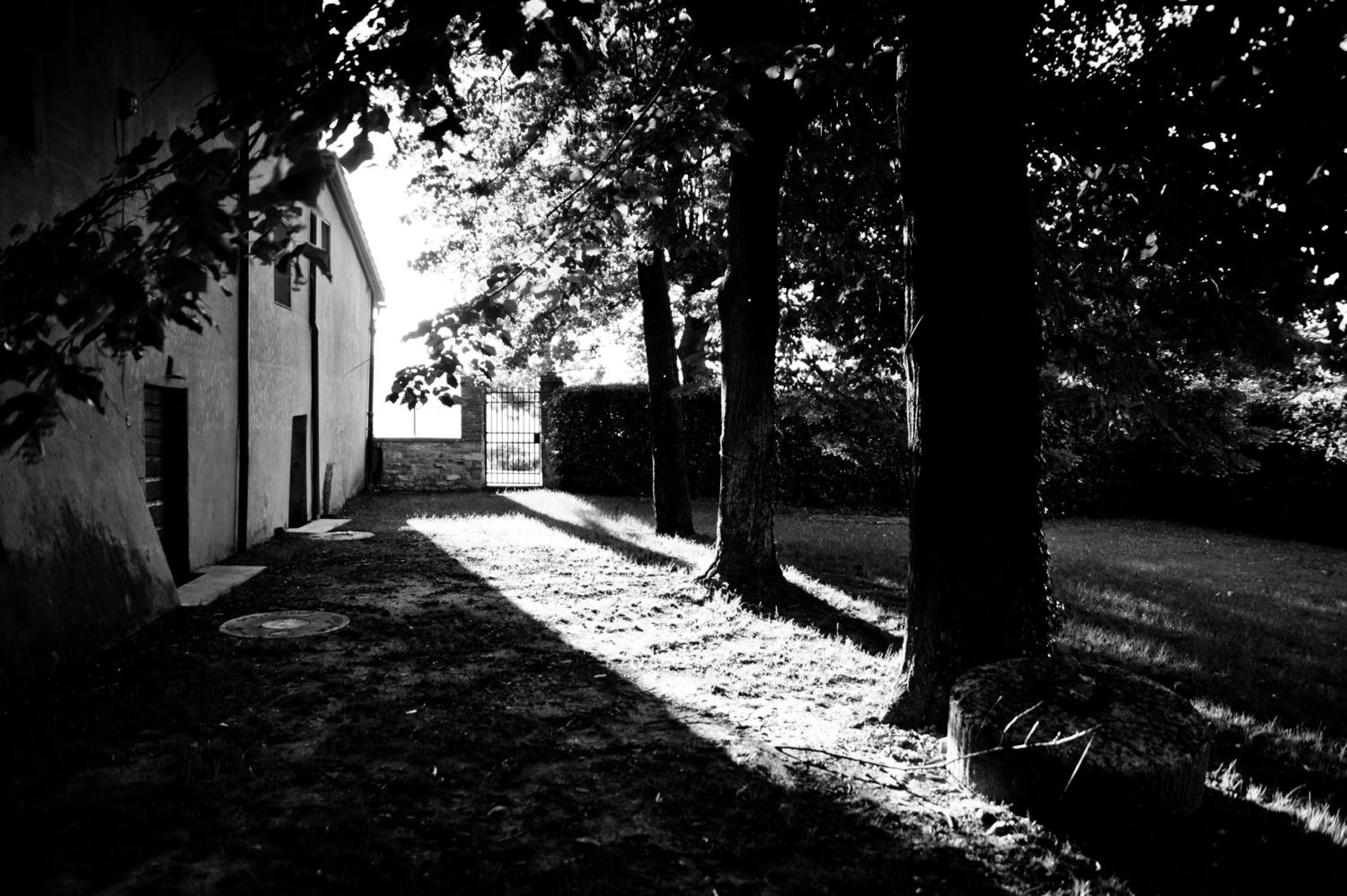 Photo 100