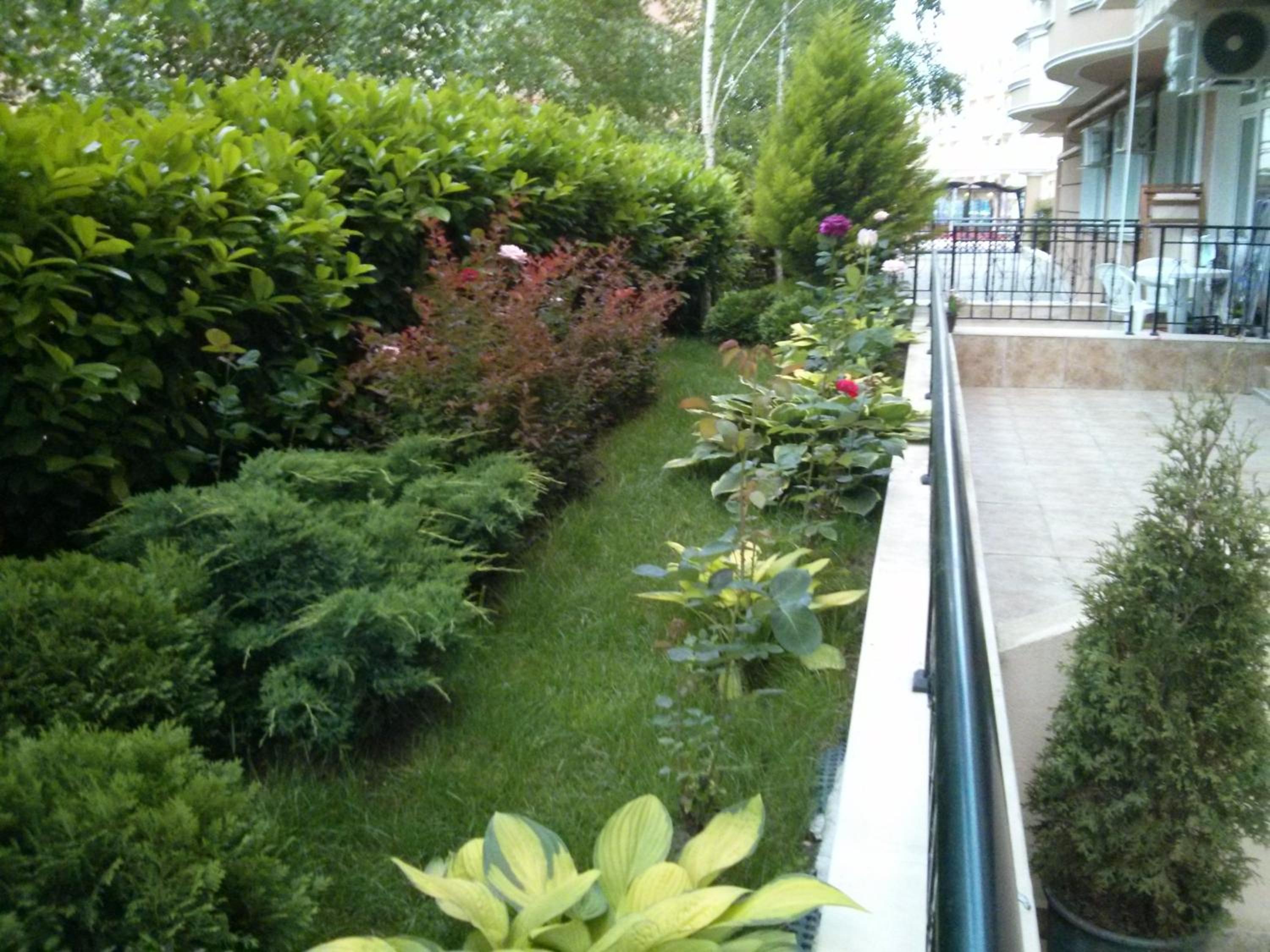 Photo 41
