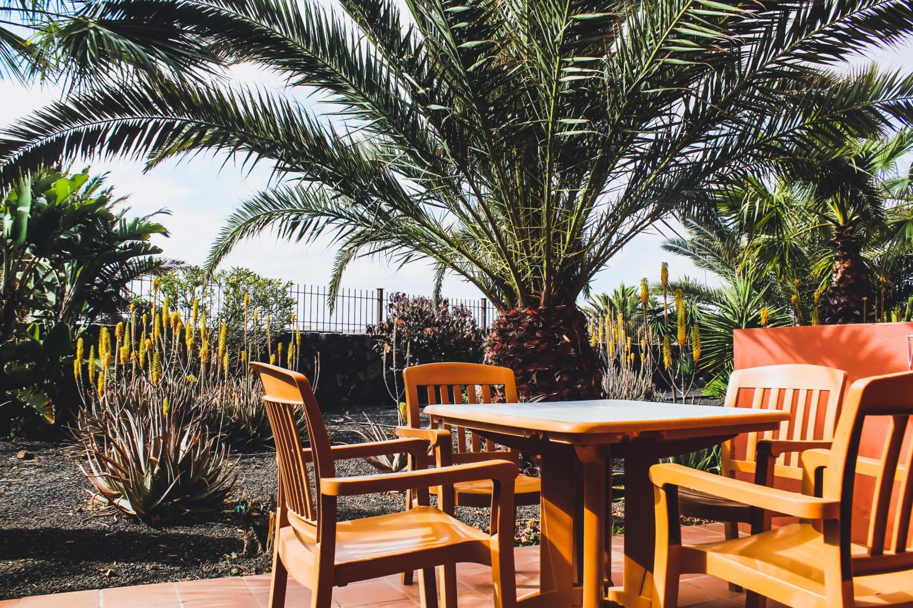 outdoor BBQ area