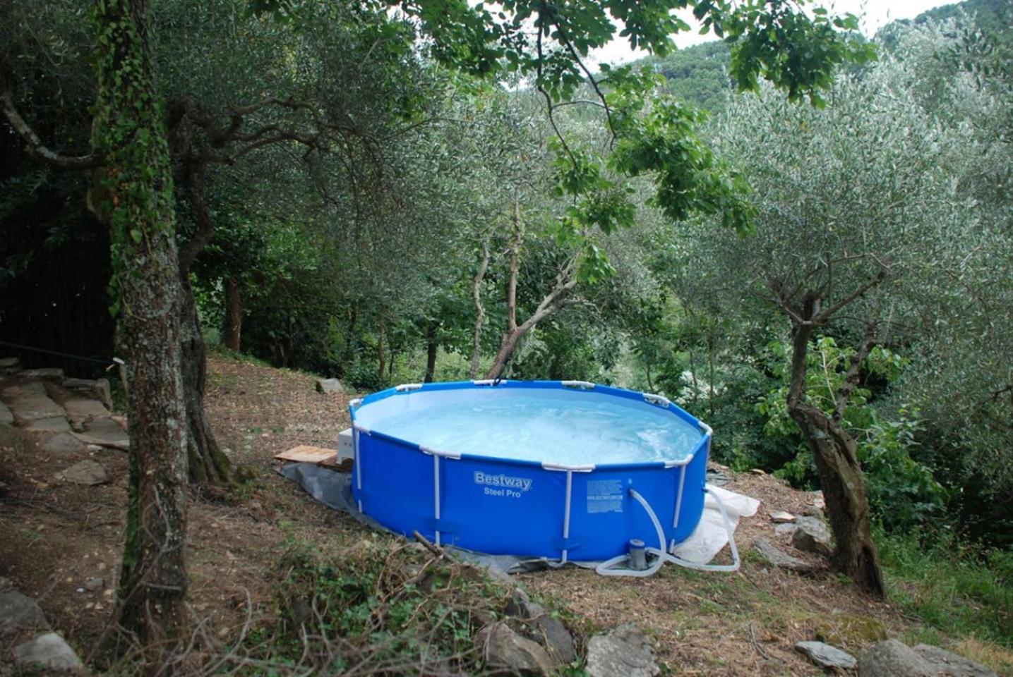 Casa Rurale SelvaDolivo photo 4