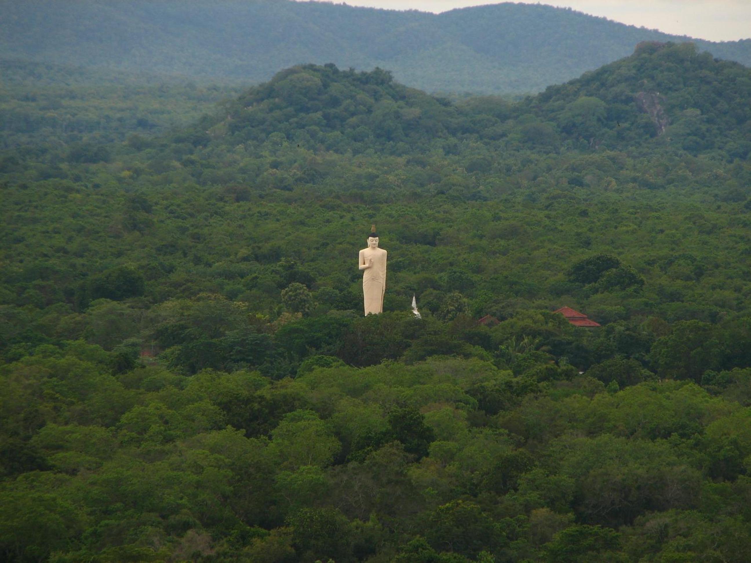 Photo 40