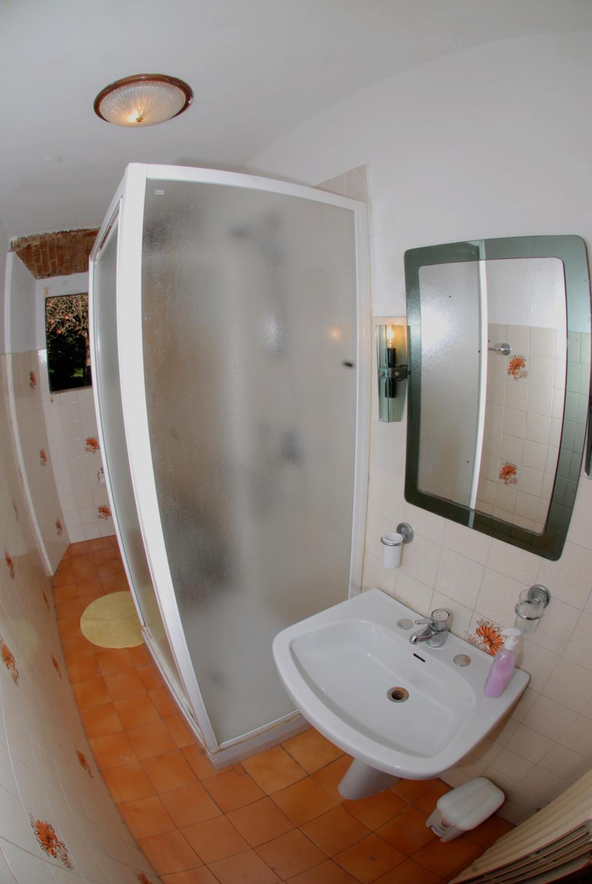 Photo 49