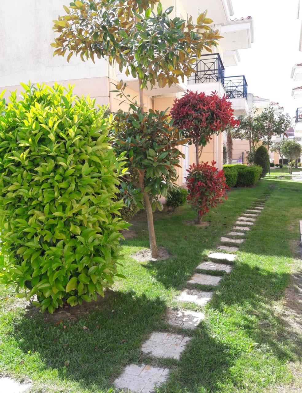 Olive Apartments