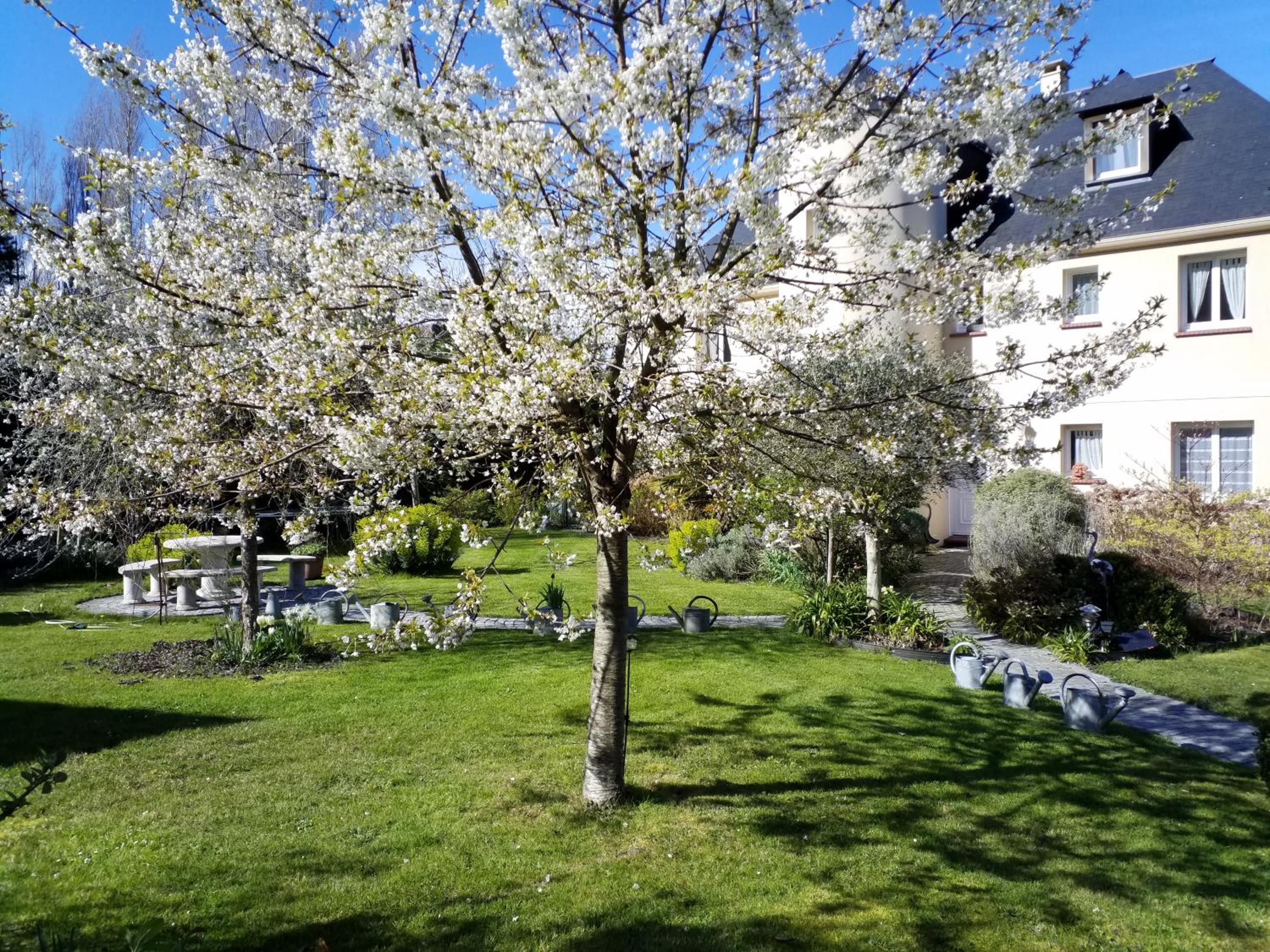 Photo 14