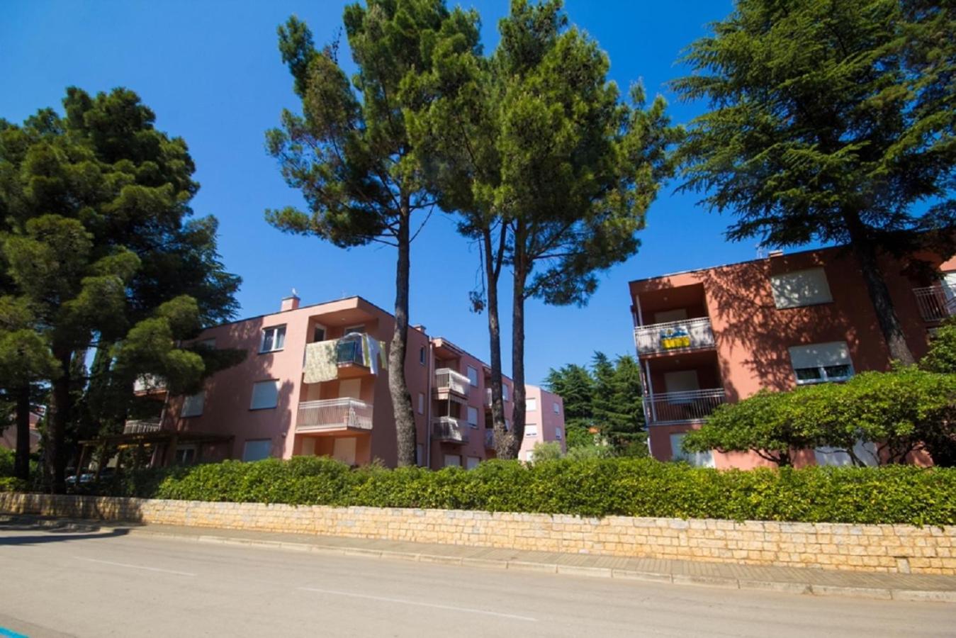 ROZA Apartment view 4