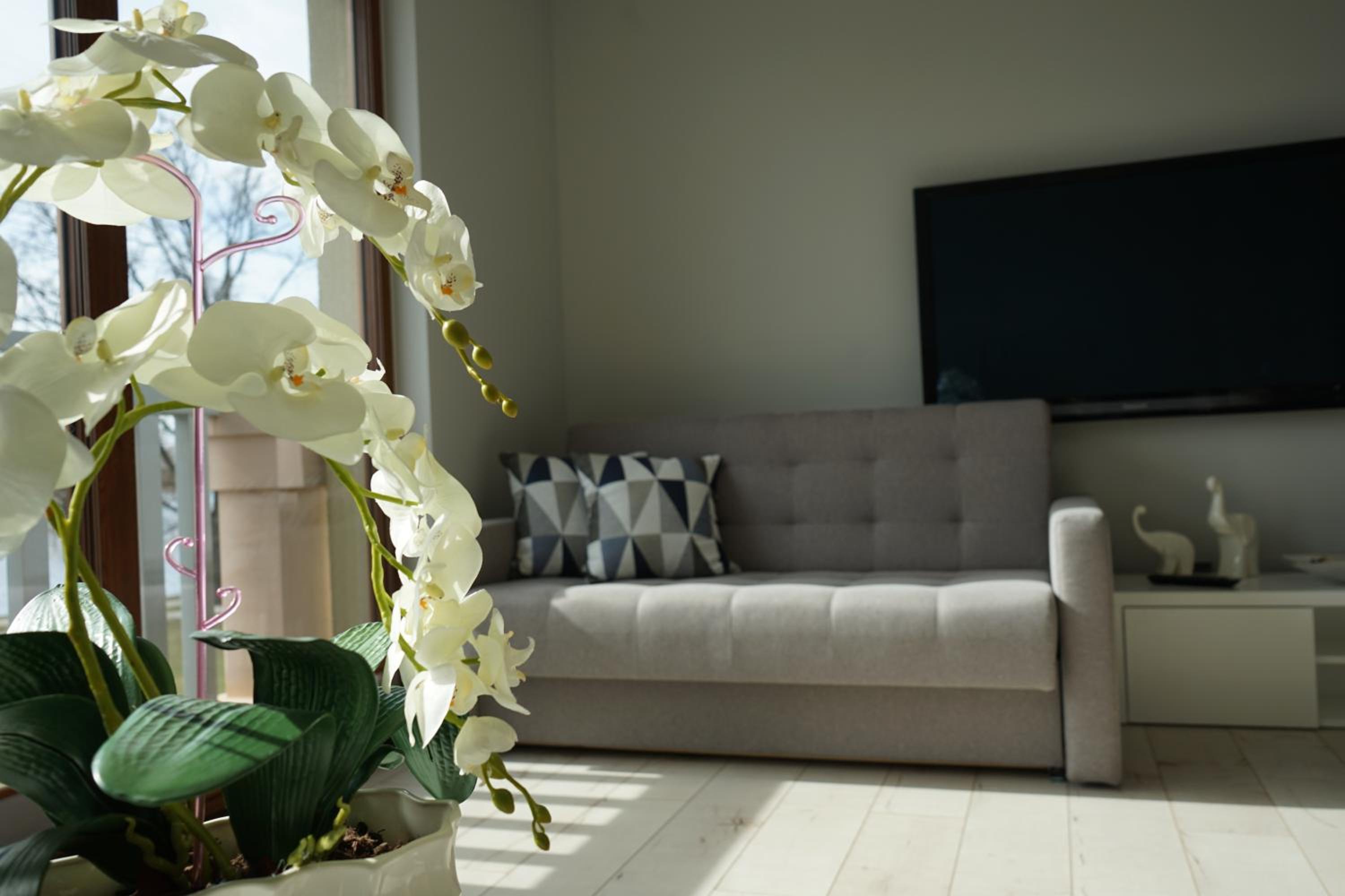 Apartament Nadjeziorna