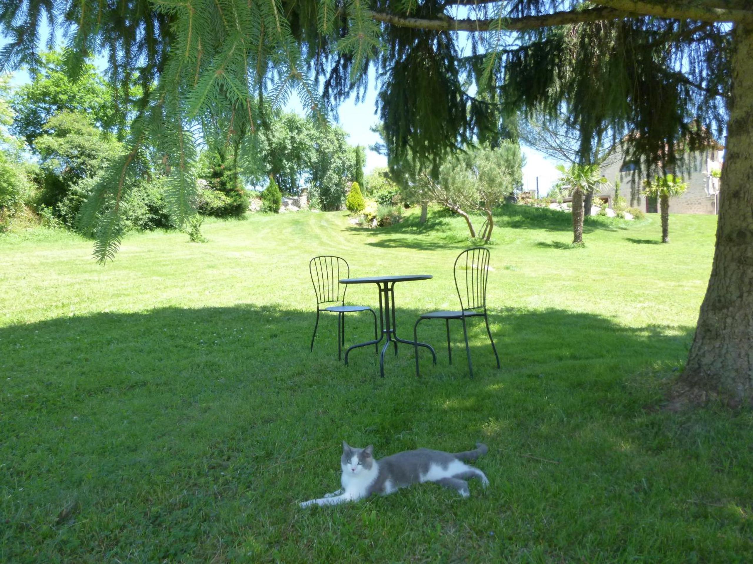 Photo 22